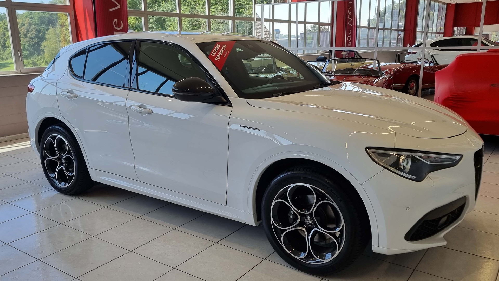 ALFA ROMEO Stelvio 2.0 Q4 280 Veloce-image-6