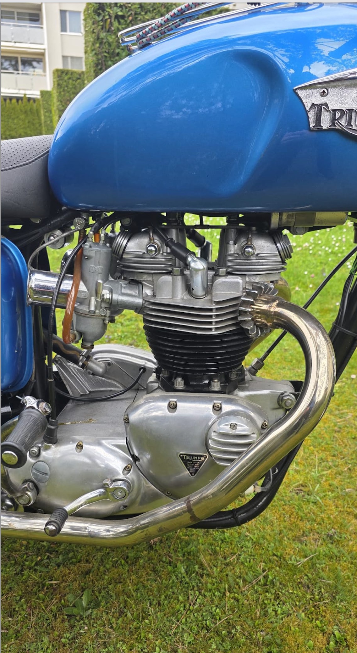 TRIUMPH Veteran-image-1