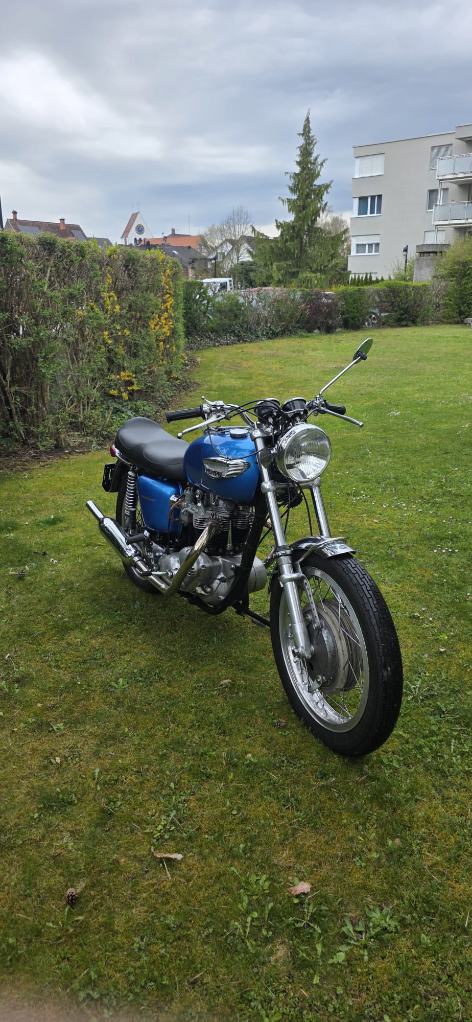 TRIUMPH Veteran-image-5