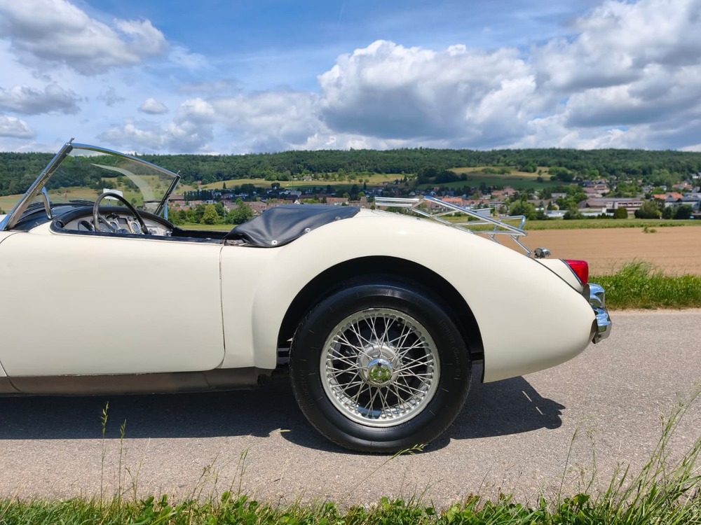 MG 1500-image-13