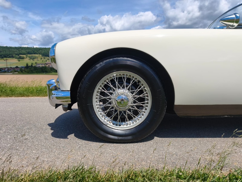 MG 1500-image-15