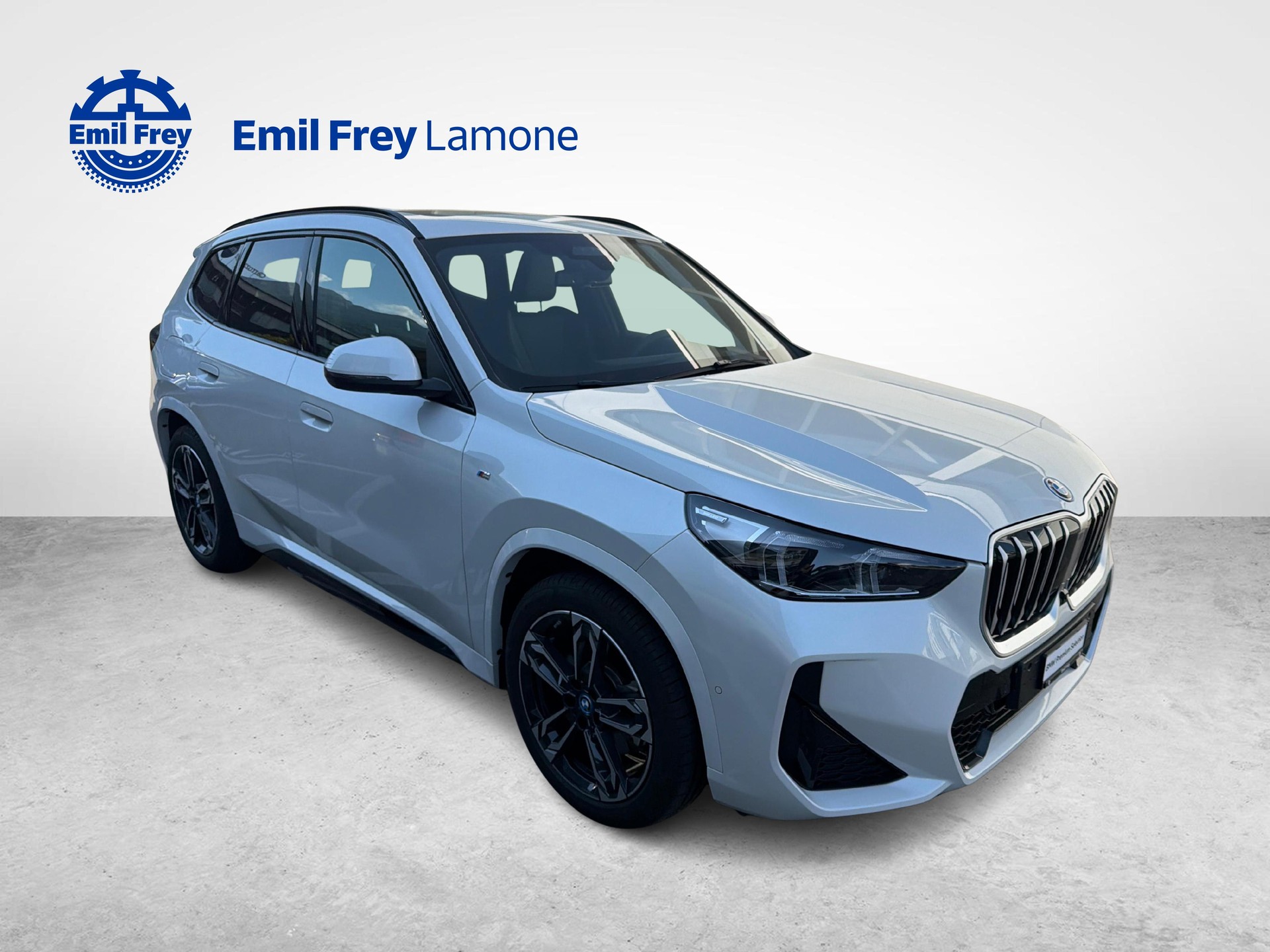 BMW X1 30e xDrive paddles-image-7