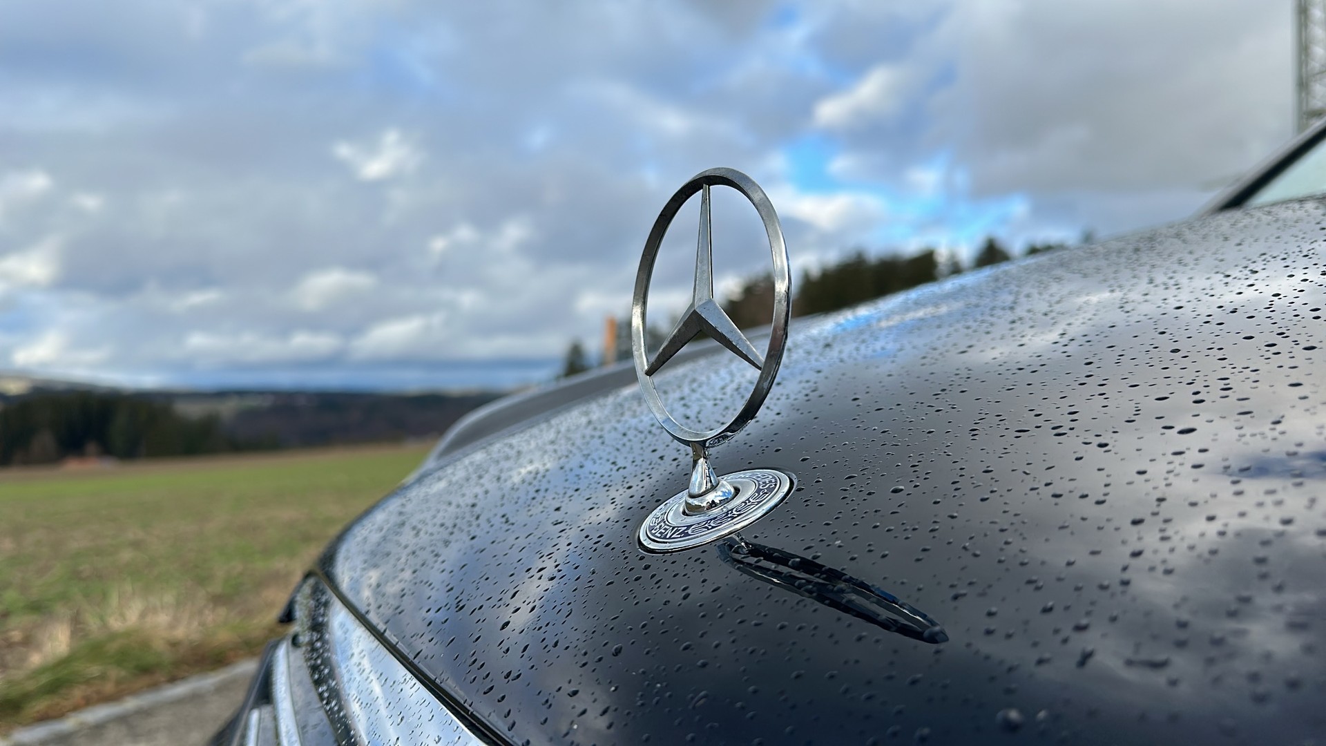 MERCEDES-BENZ C 55 AMG Automatic-image-17