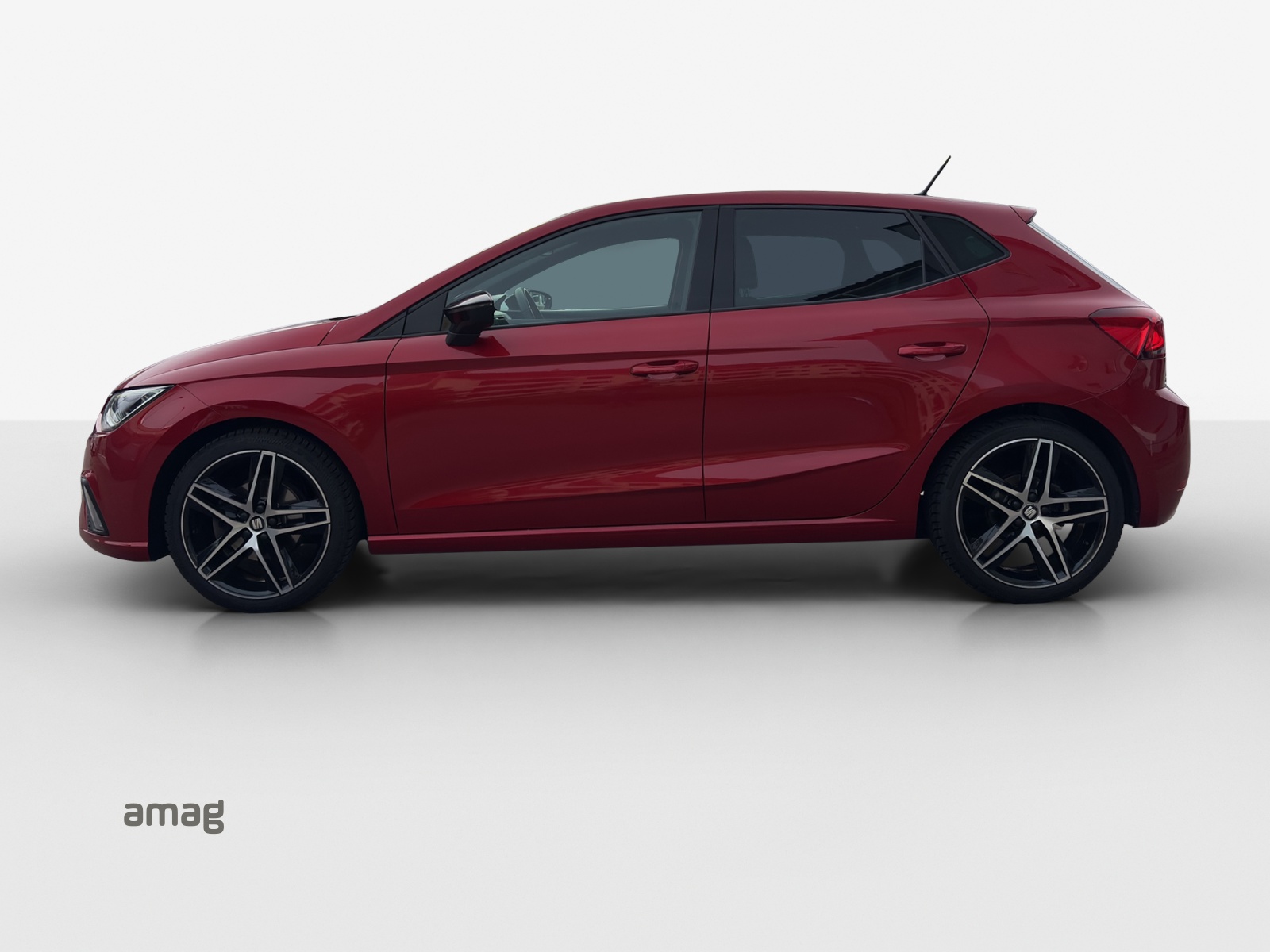 SEAT Ibiza 1.5 EcoTSI Hola FR DSG-showroom-element-1