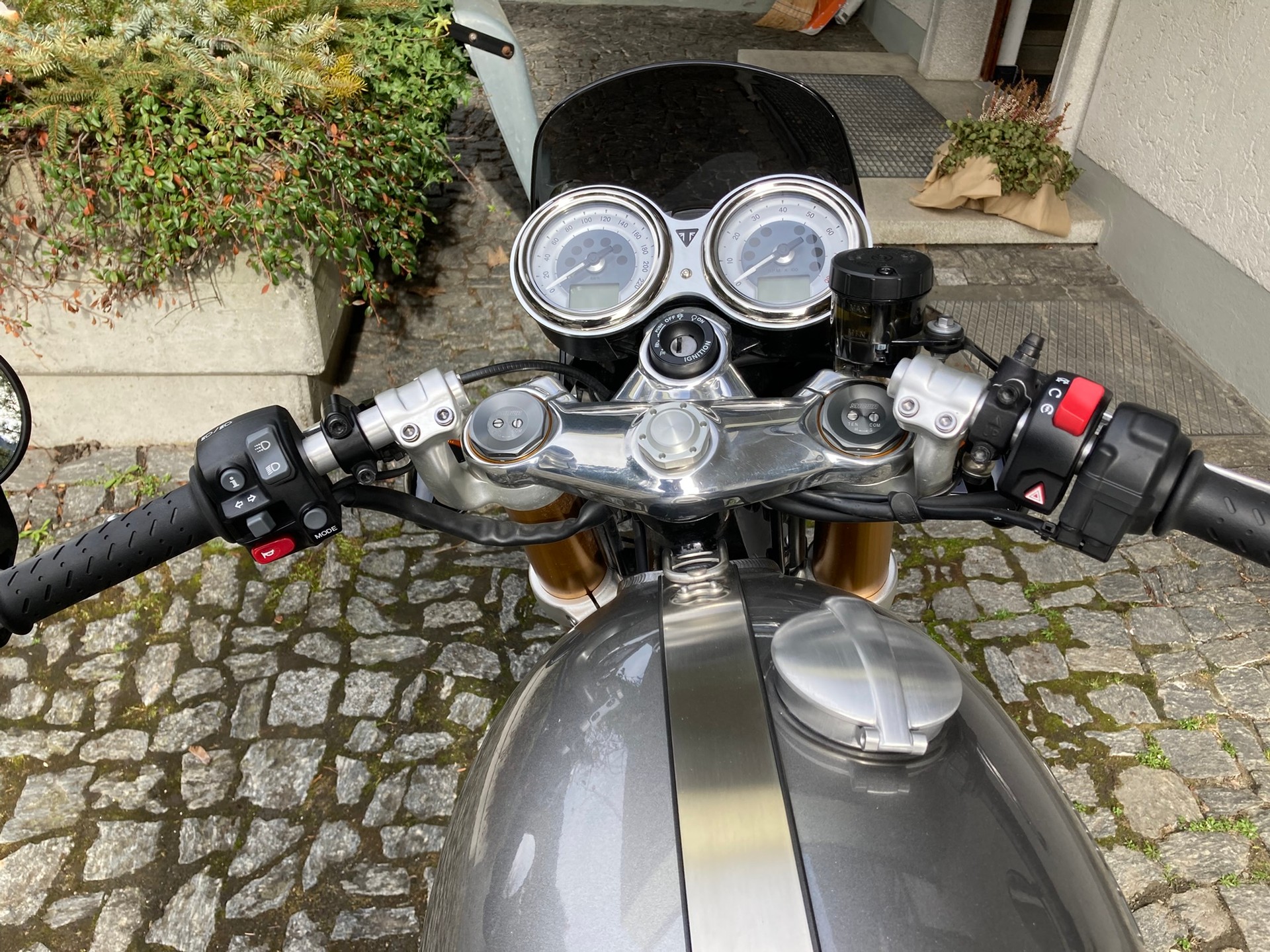 TRIUMPH Thruxton R 1200 i ABS-image-5