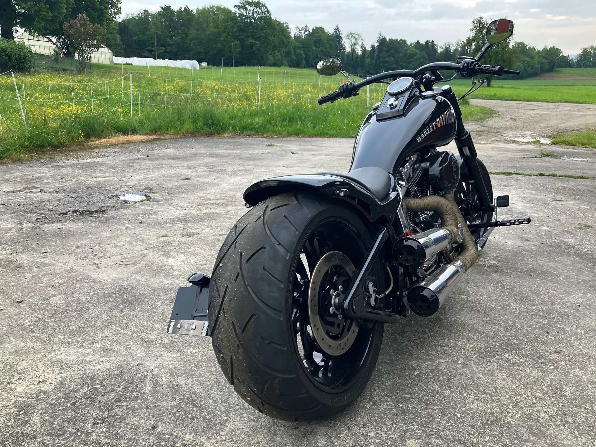 HARLEY-DAVIDSON Softail Custom-image-4