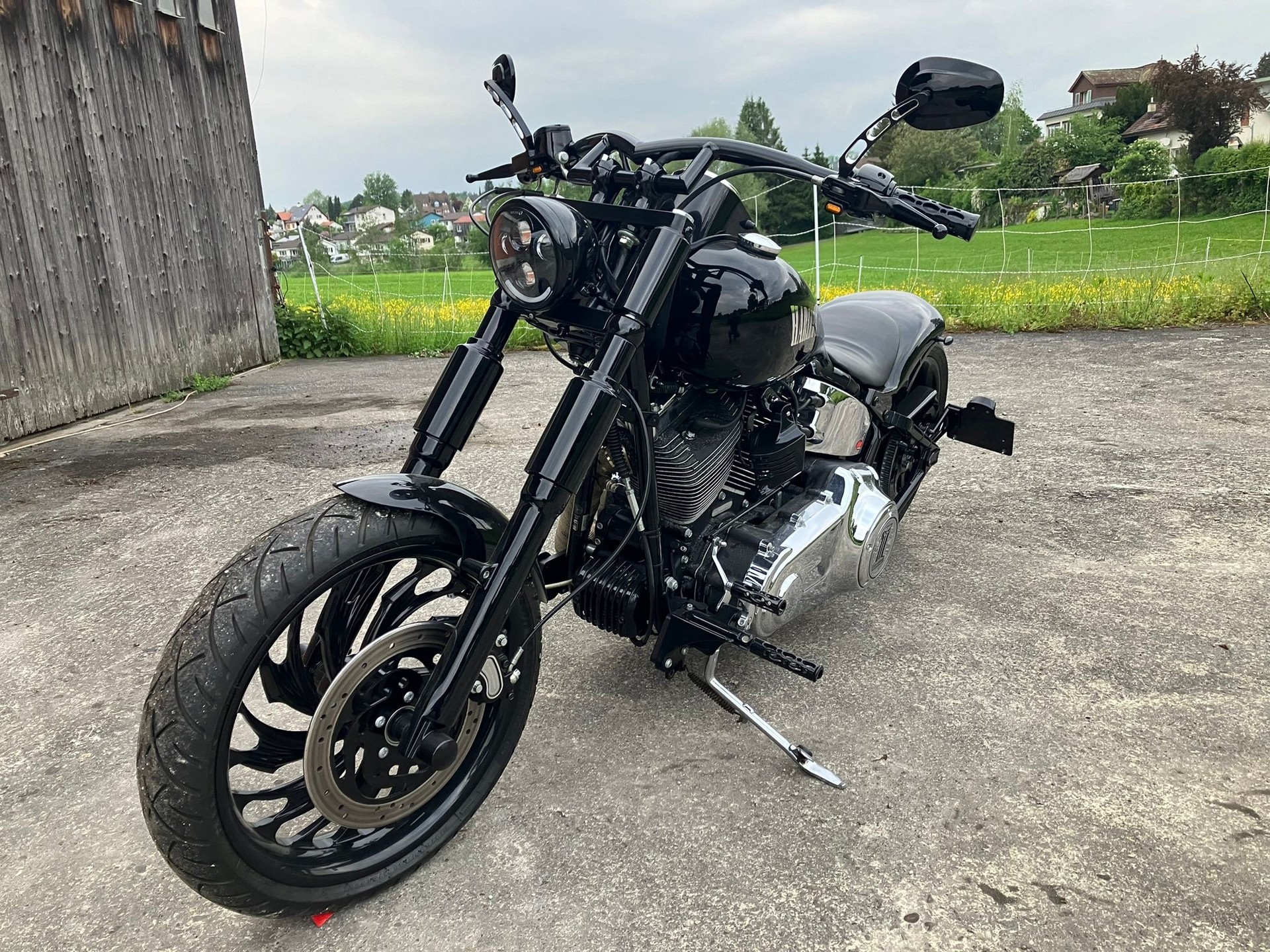 HARLEY-DAVIDSON Softail Custom-image-3