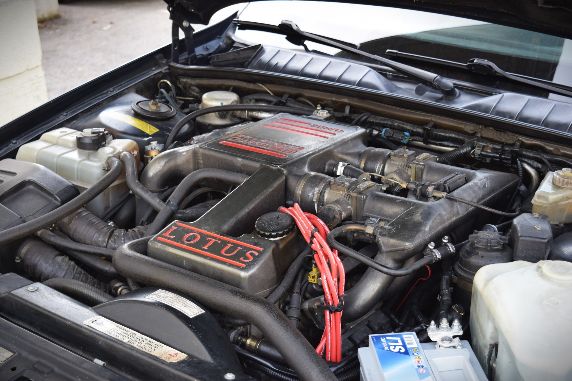 LOTUS Omega 3.6 Bi-Turbo Carlton-image-10
