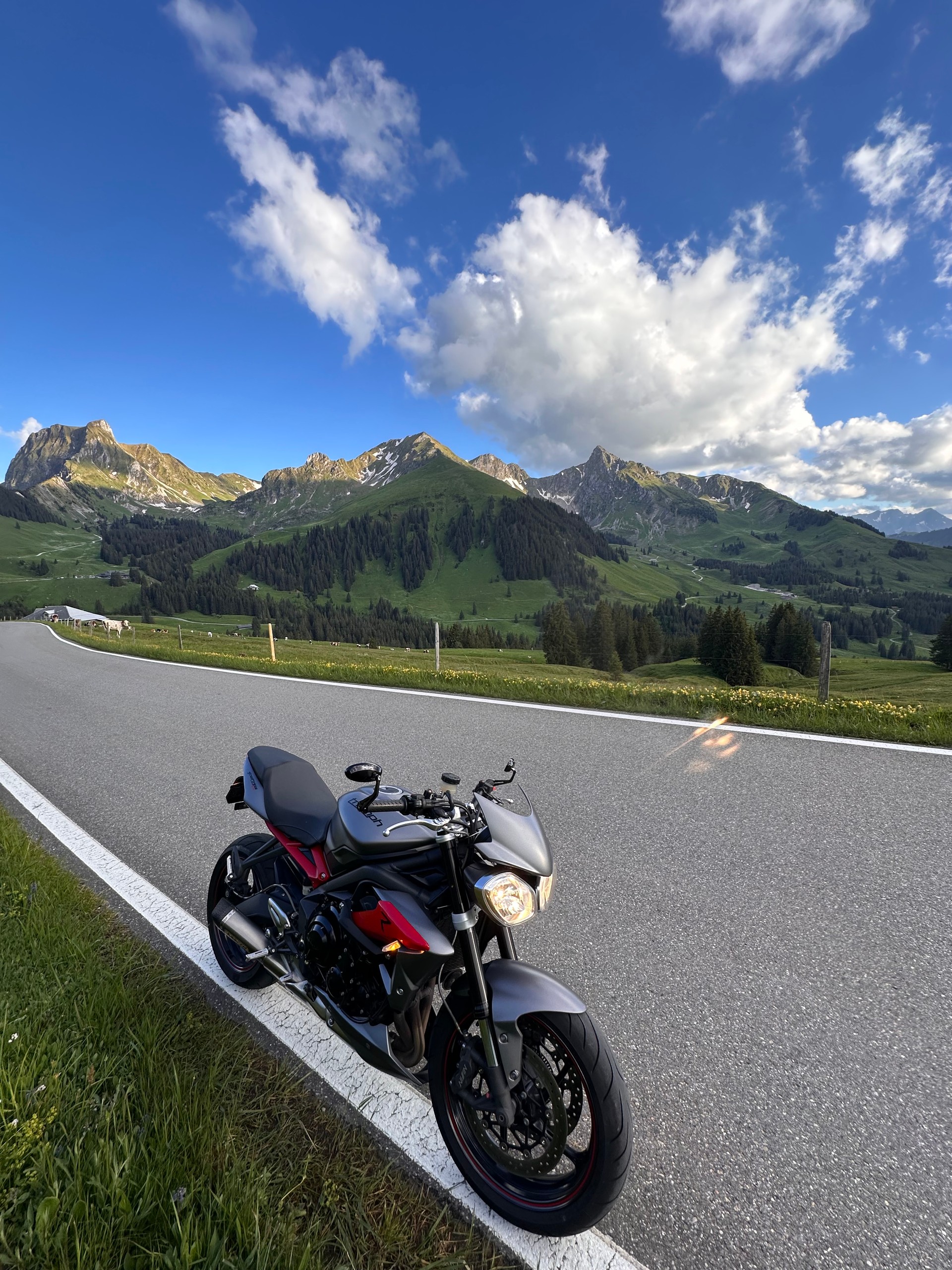 TRIUMPH Street Triple 675 R (25kW)-image-4