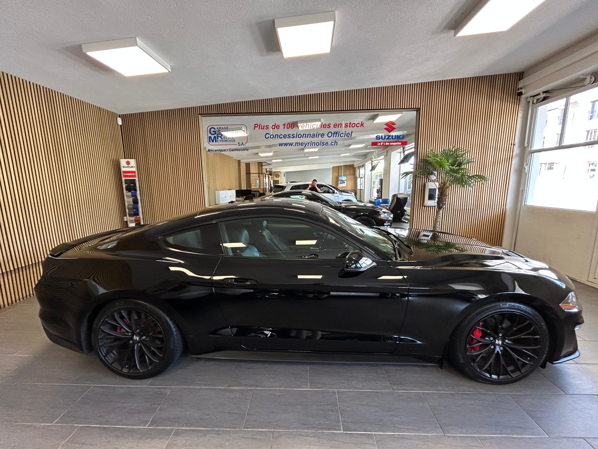 FORD Mustang Coupé 5.0 V8 GT