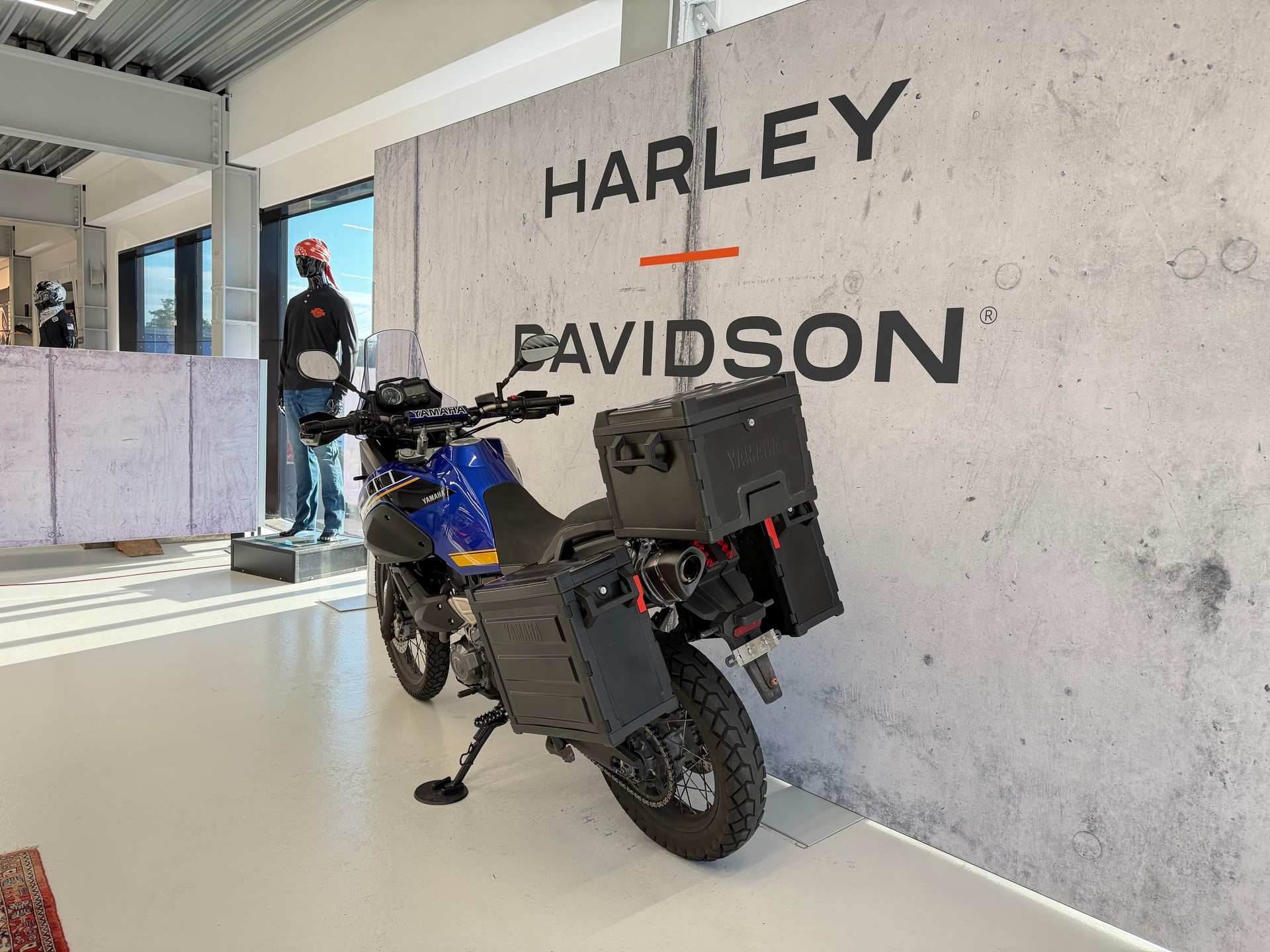 YAMAHA XT 660 Z Ténéré ABS-image-5