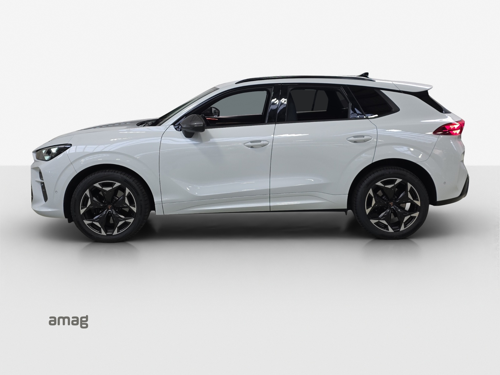 CUPRA Terramar 2.0 TSI DSG 4Drive VZ-showroom-element-1