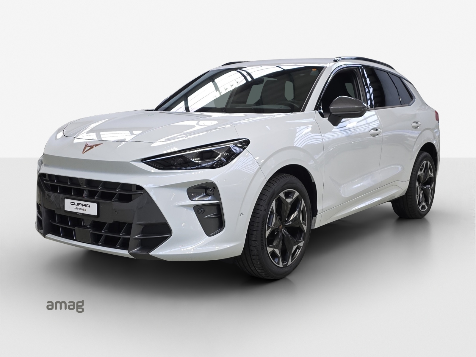 CUPRA Terramar 2.0 TSI DSG 4Drive VZ