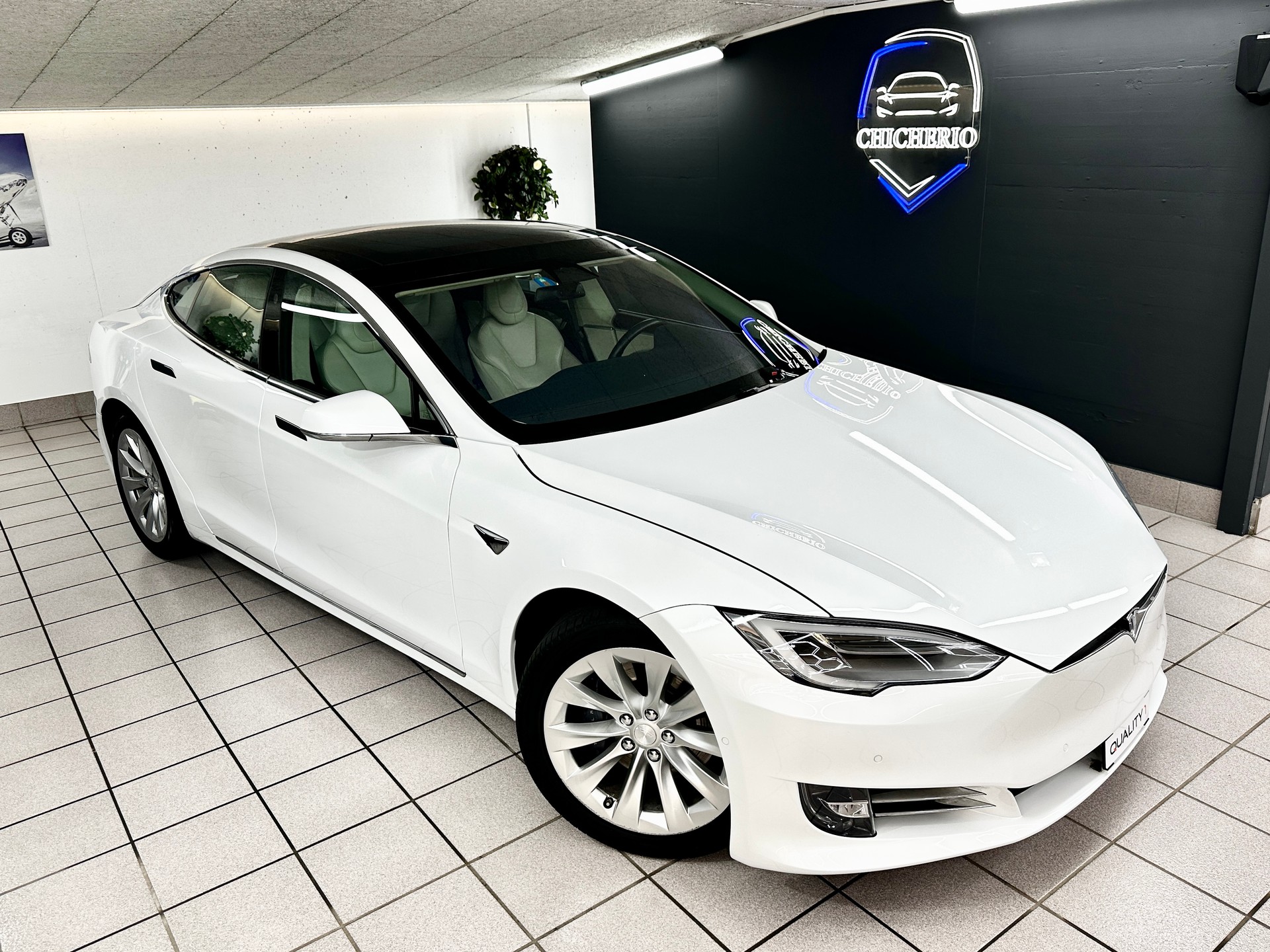 TESLA Model S 100 D-showroom-element-1