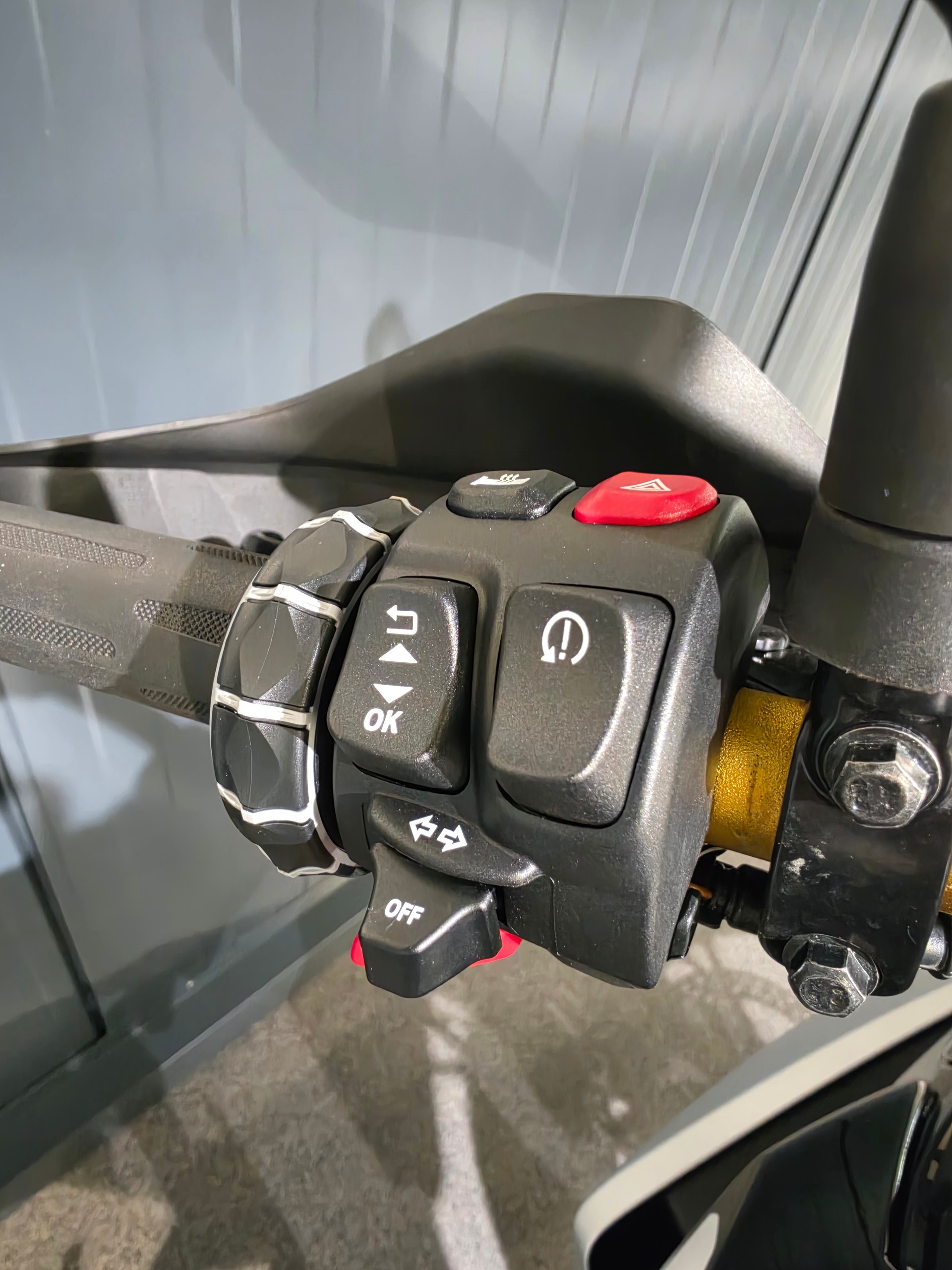 BMW F 450 GS - Exclusive-Paket-image-3