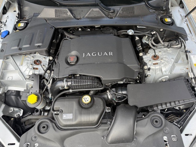 JAGUAR XJ 3.0d V6 Luxury Automatic-image-15