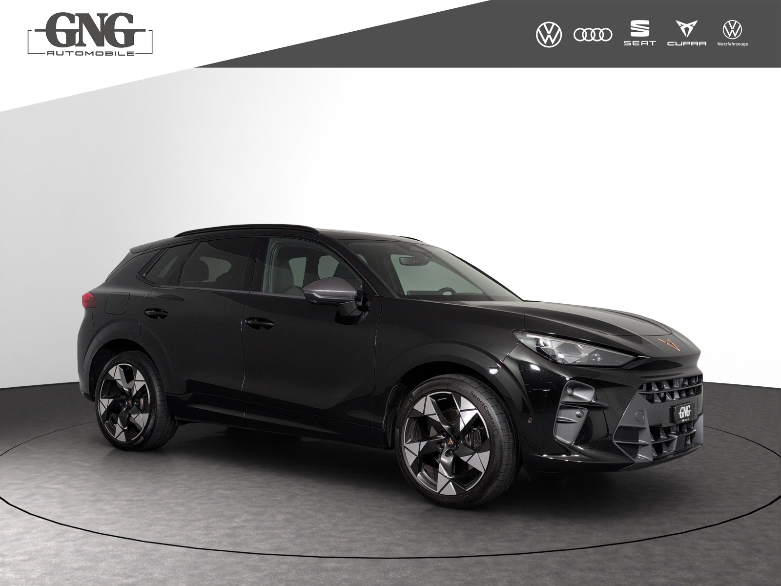 CUPRA Terramar 2.0 TSI DSG 4Drive VZ-showroom-element-3