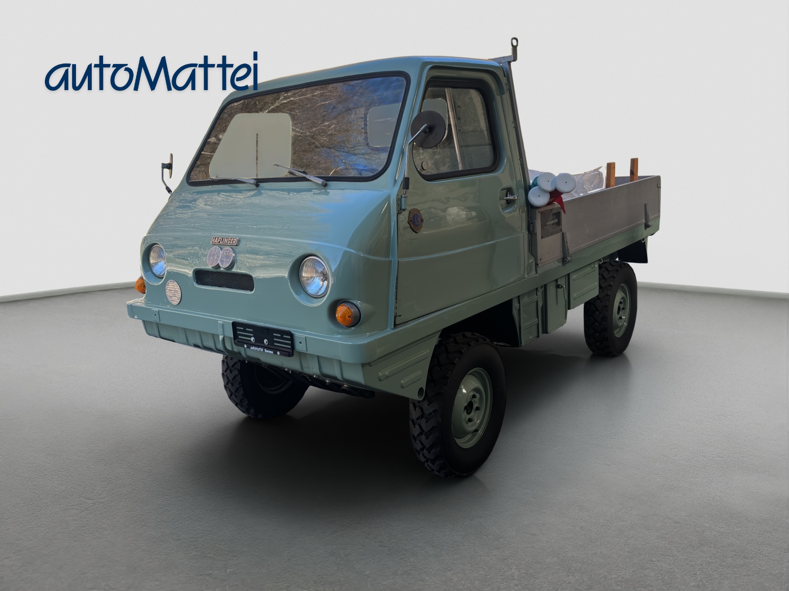PUCH Haflinger-showroom-element-1