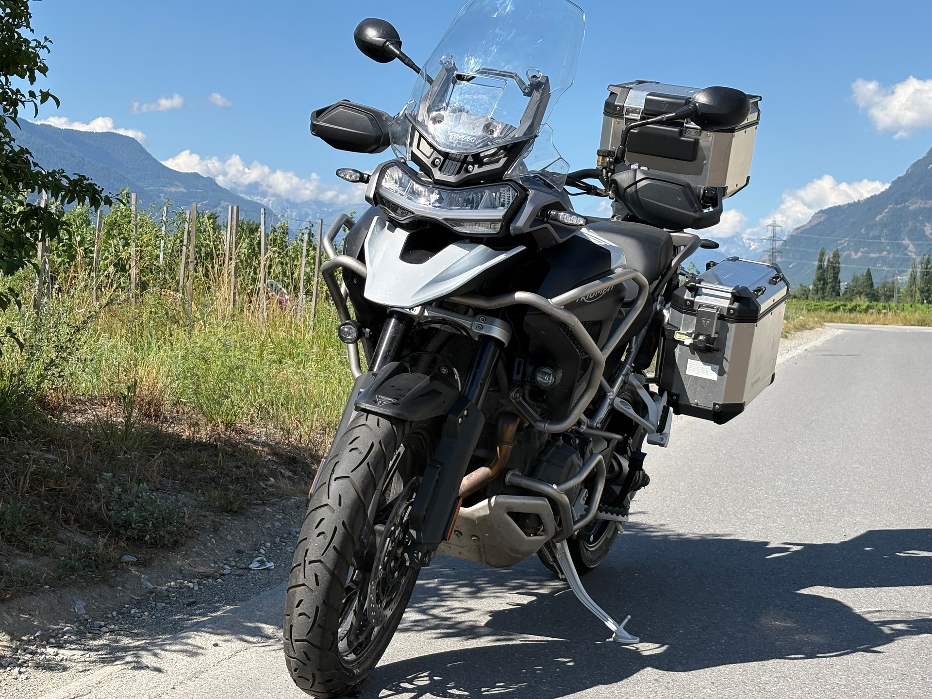 TRIUMPH Tiger 1200 GT Pro-image-2