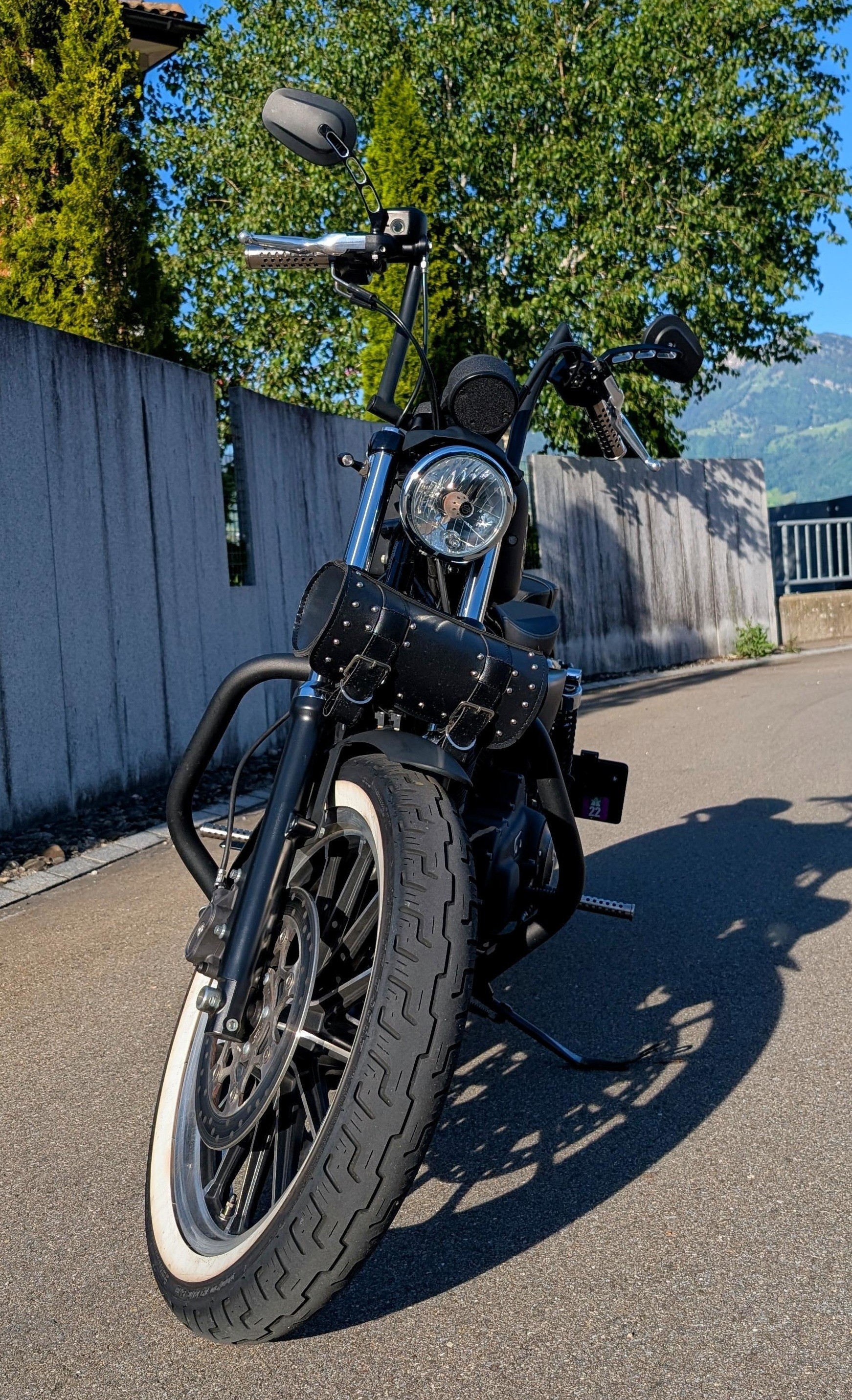 HARLEY-DAVIDSON XL 883 R Sportster Roadster ABS-image-6
