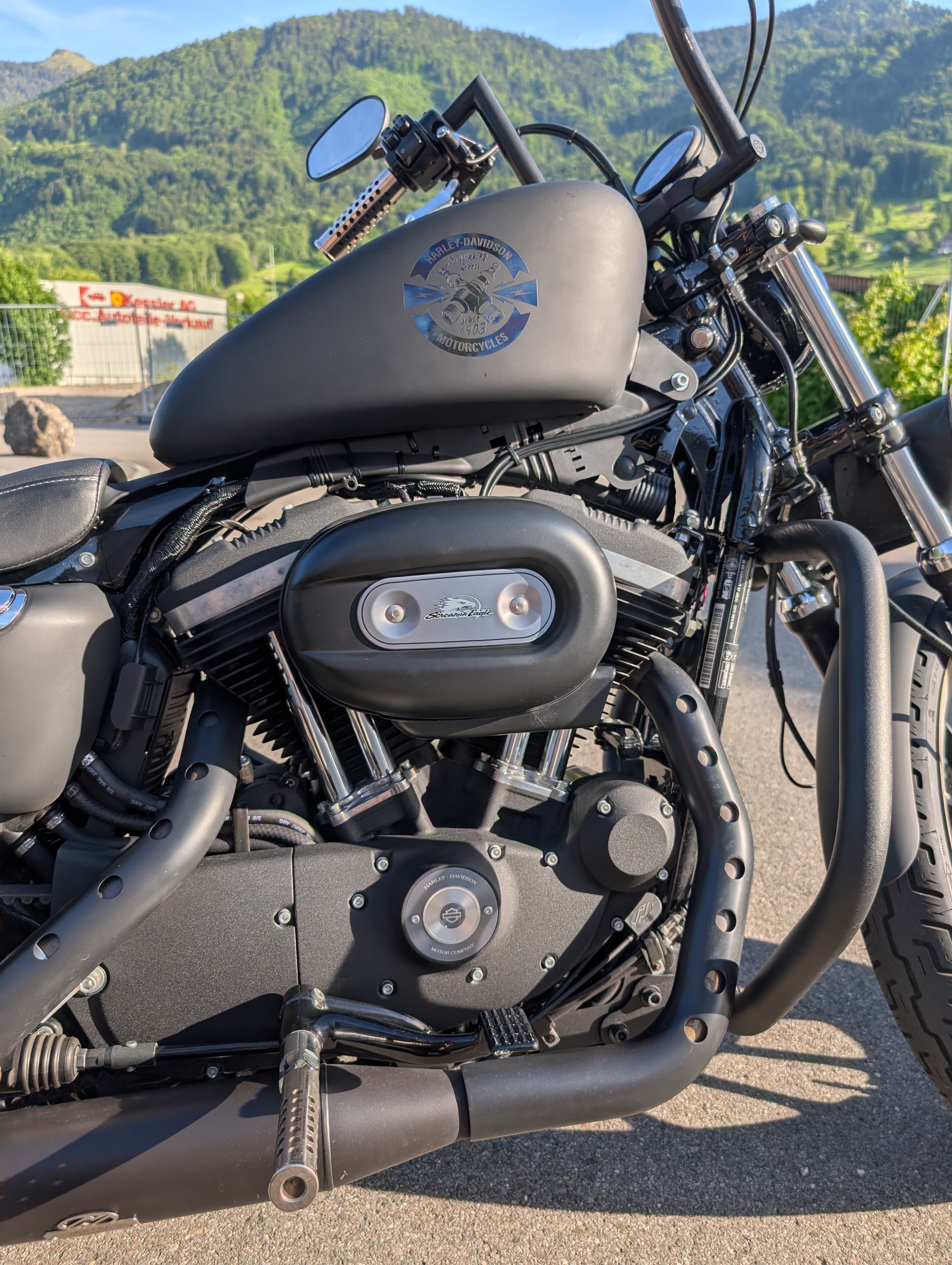 HARLEY-DAVIDSON XL 883 R Sportster Roadster ABS-image-5