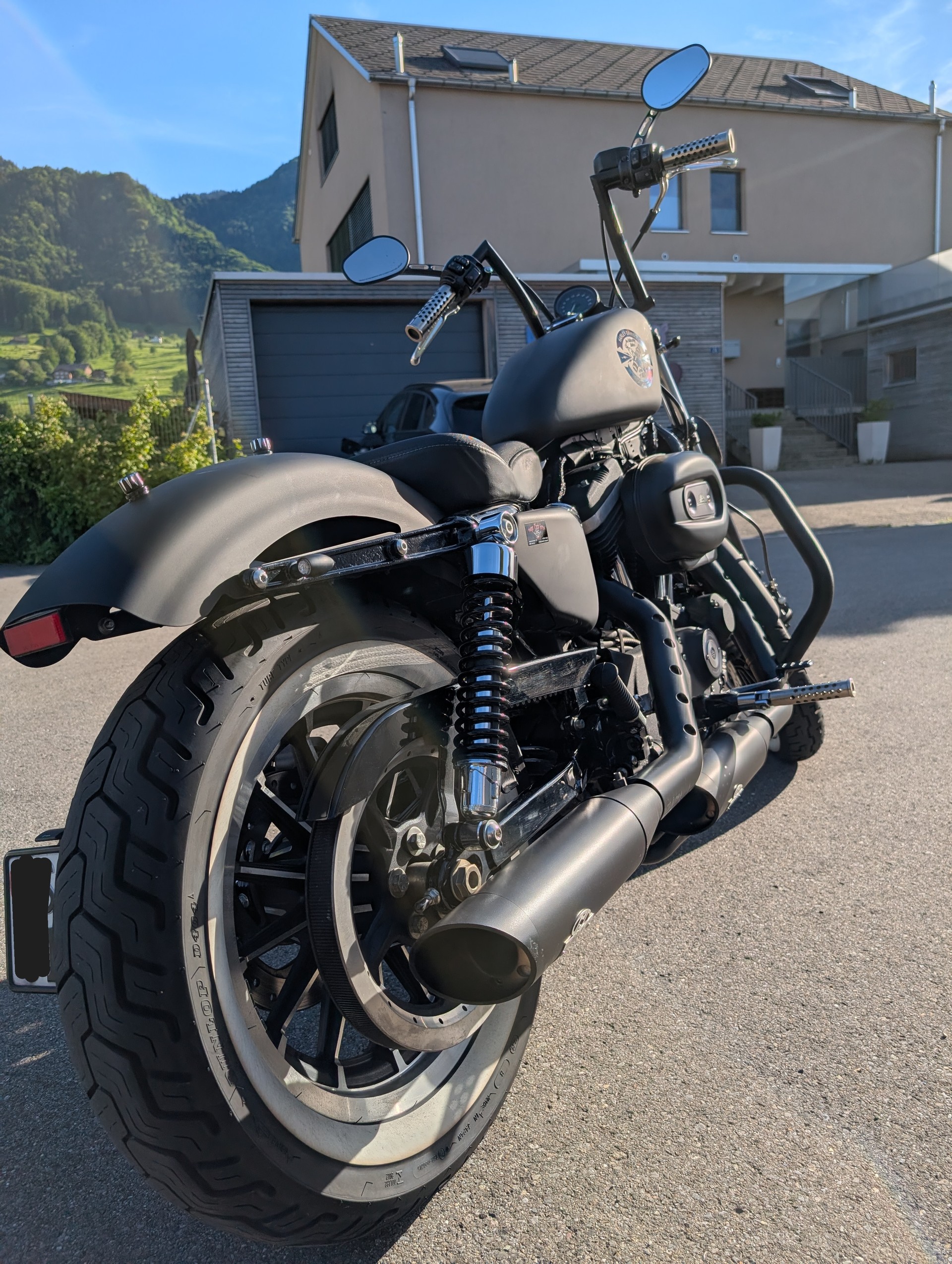 HARLEY-DAVIDSON XL 883 R Sportster Roadster ABS-image-4