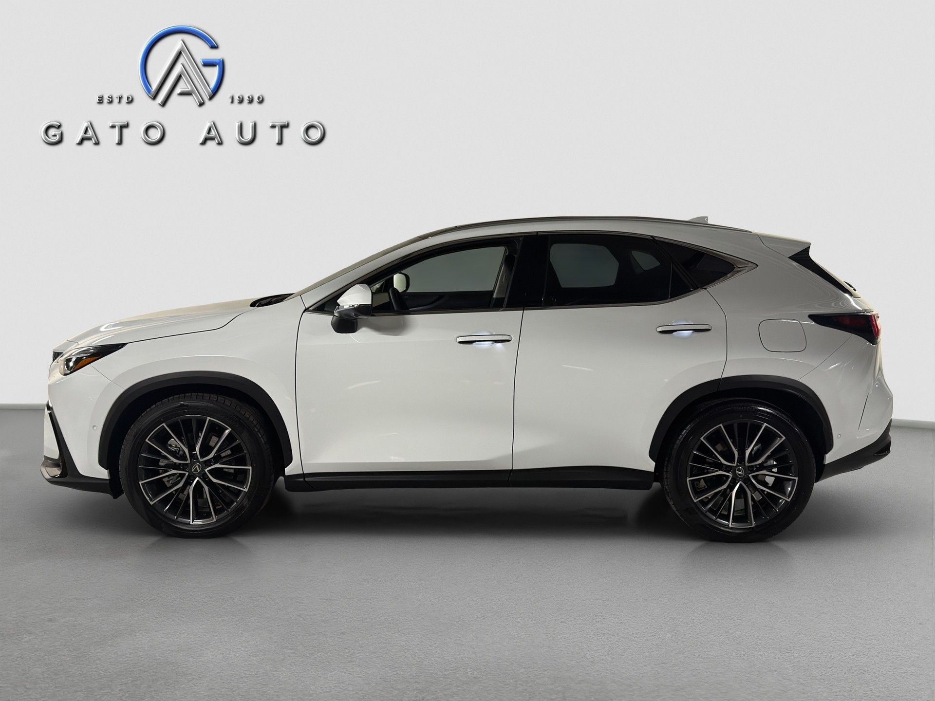 LEXUS NX 450h+ E-FOUR Excellence-showroom-element-3