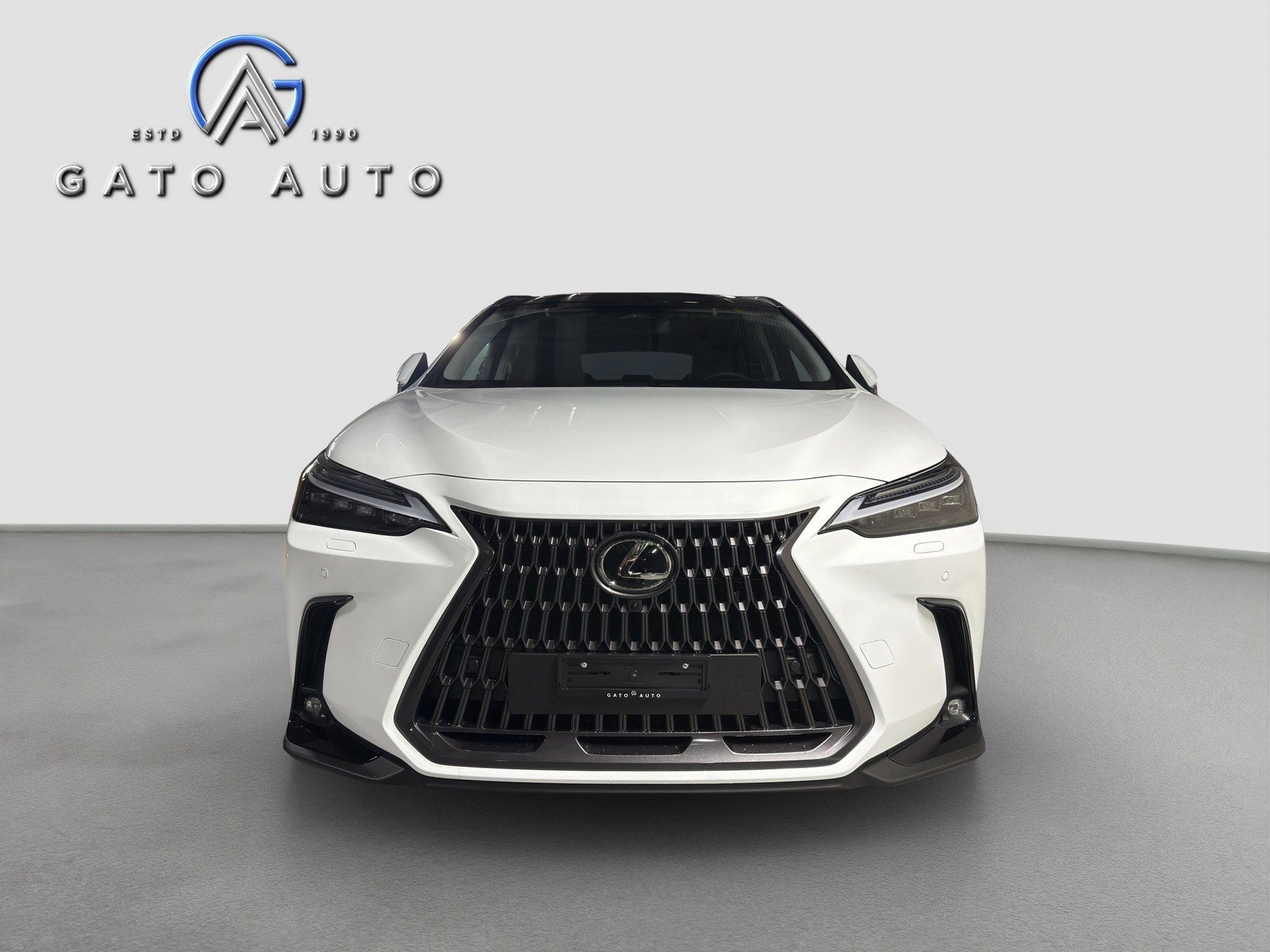 LEXUS NX 450h+ E-FOUR Excellence-image-4