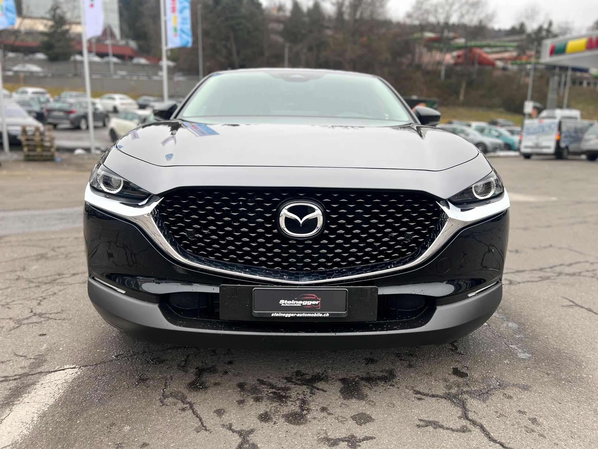 MAZDA CX-30 SKYACTIV-X 186 M Hybrid Homura AWD AT-showroom-element-3