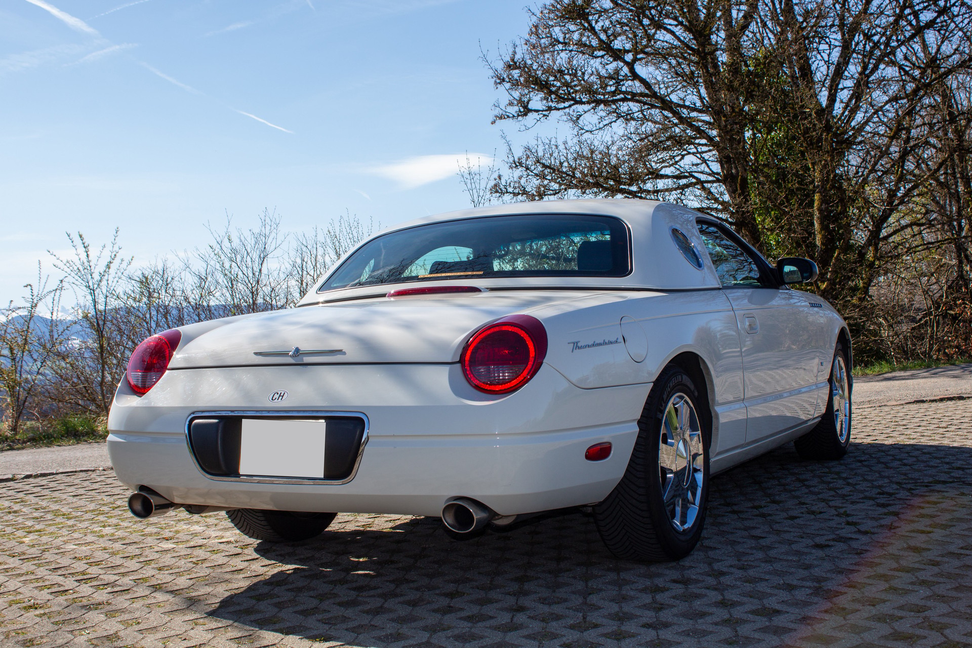 FORD Thunderbird-image-3