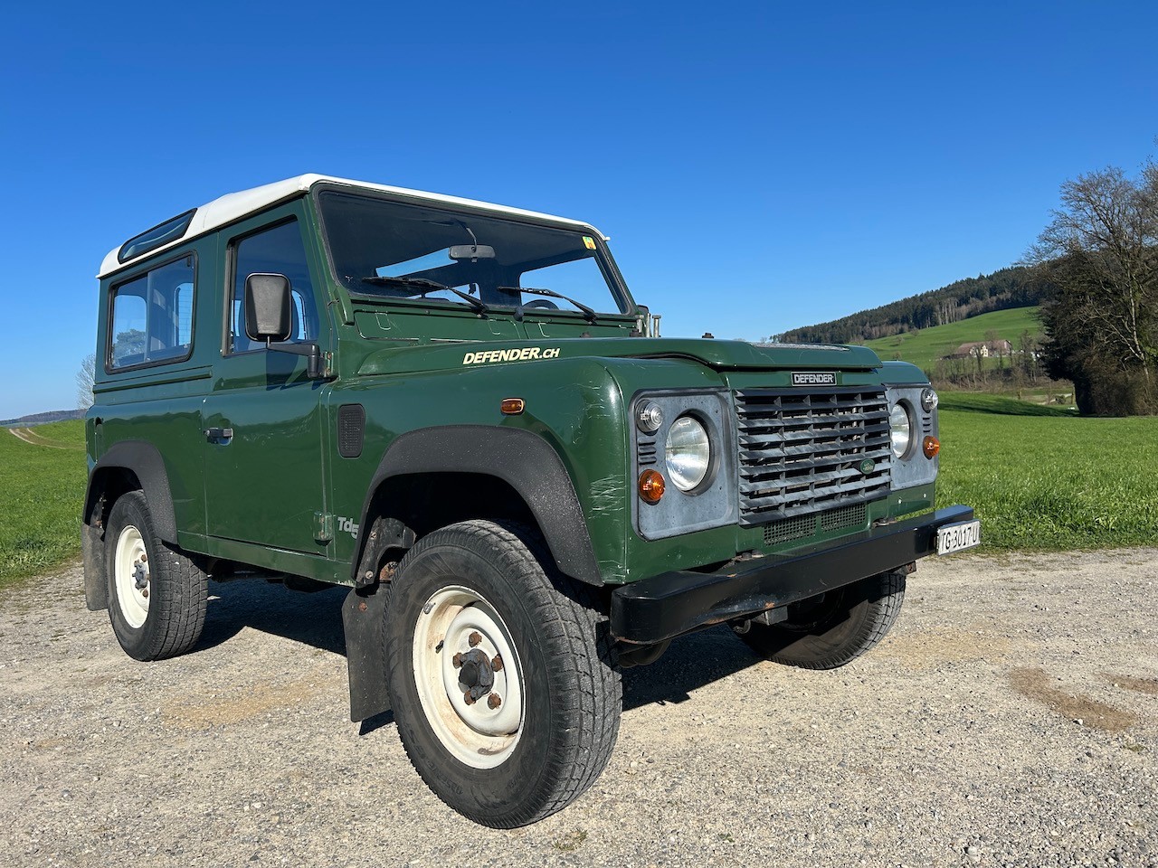 LAND ROVER Defender 90 SW 2.5 Td5-image-3