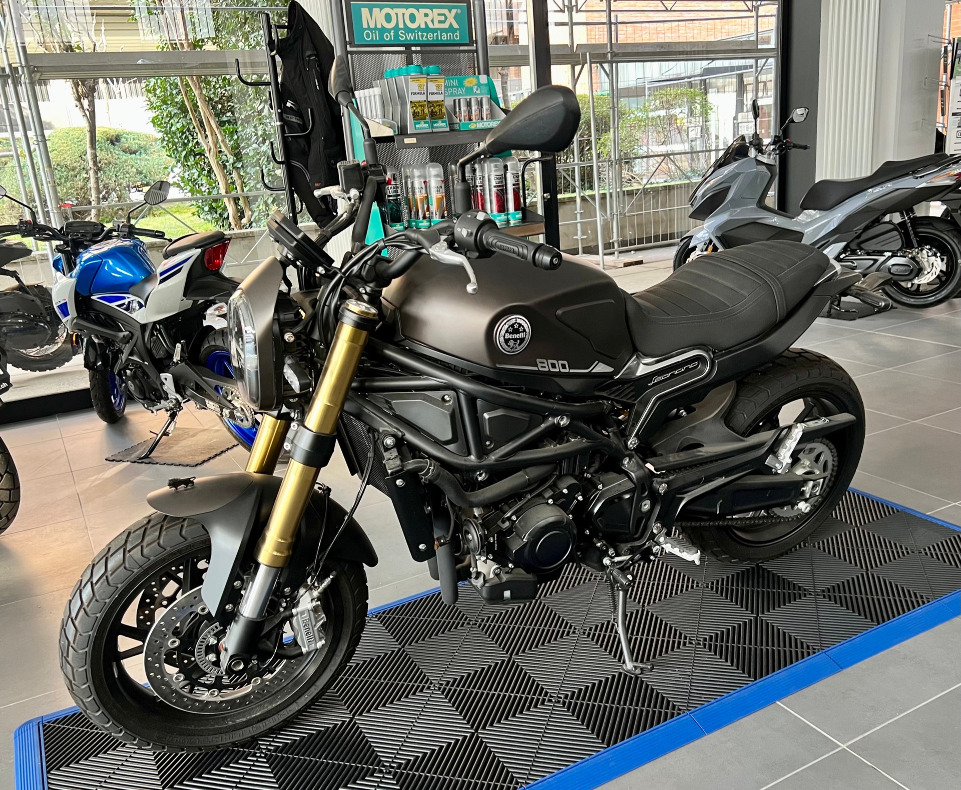 BENELLI Leoncino 800-image-2