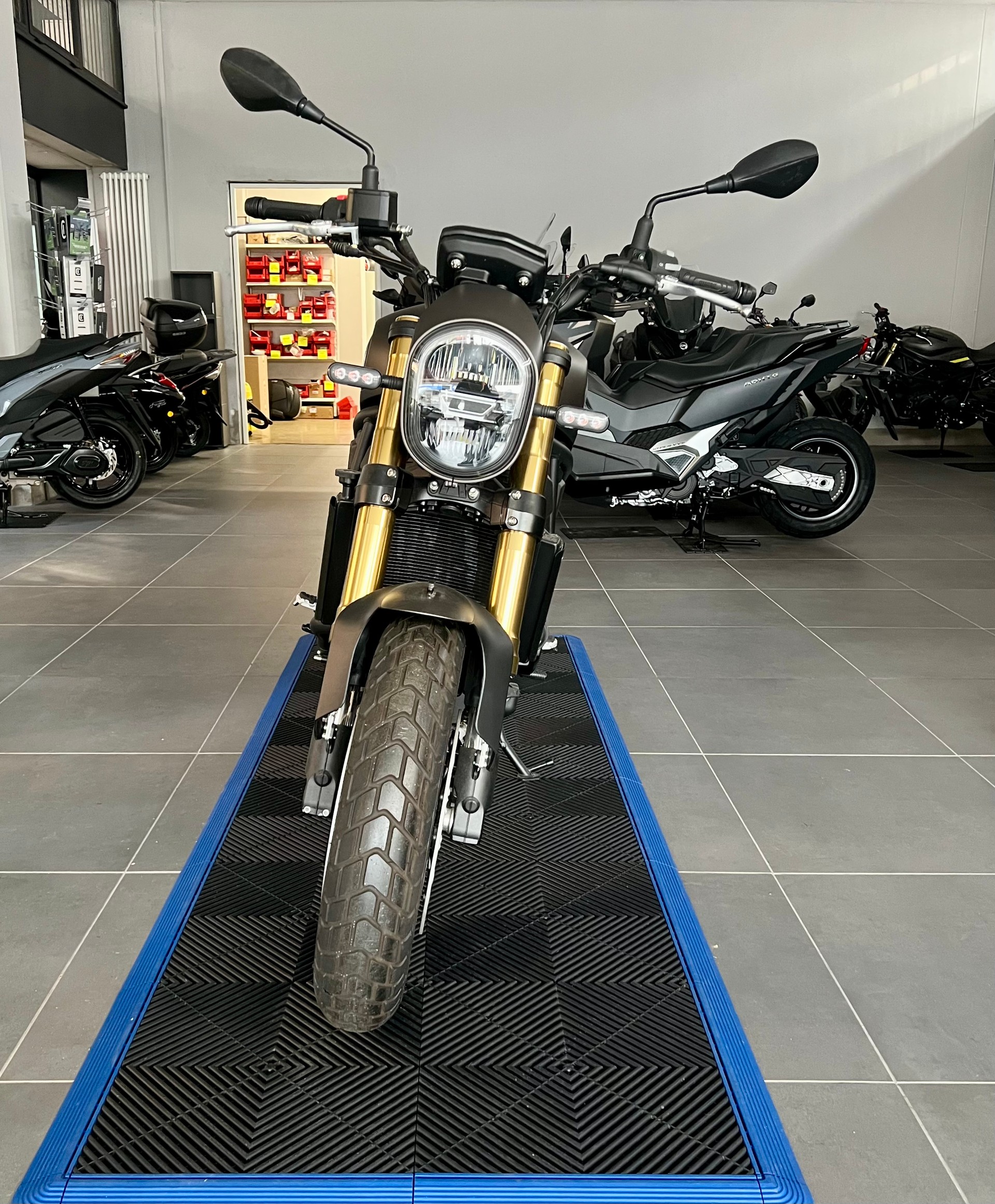 BENELLI Leoncino 800-image-1