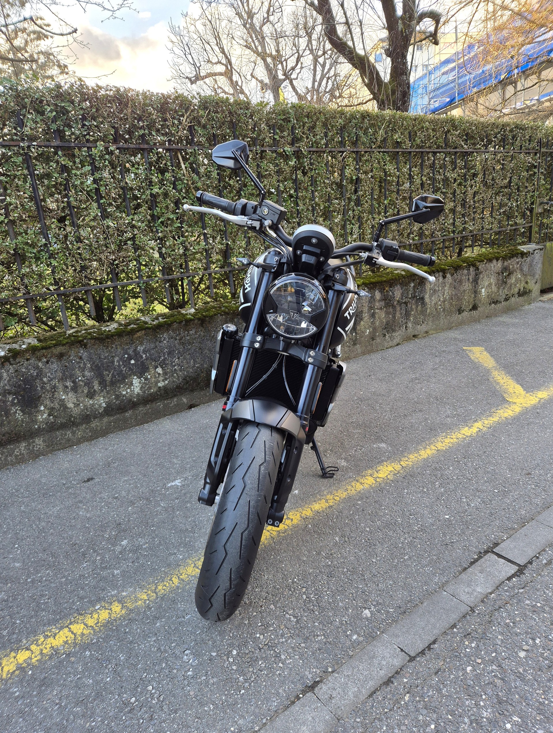 TRIUMPH Trident 660-image-10