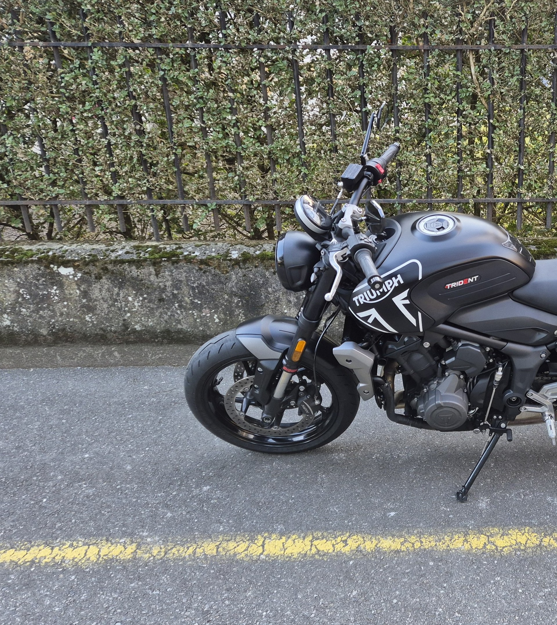 TRIUMPH Trident 660-image-8