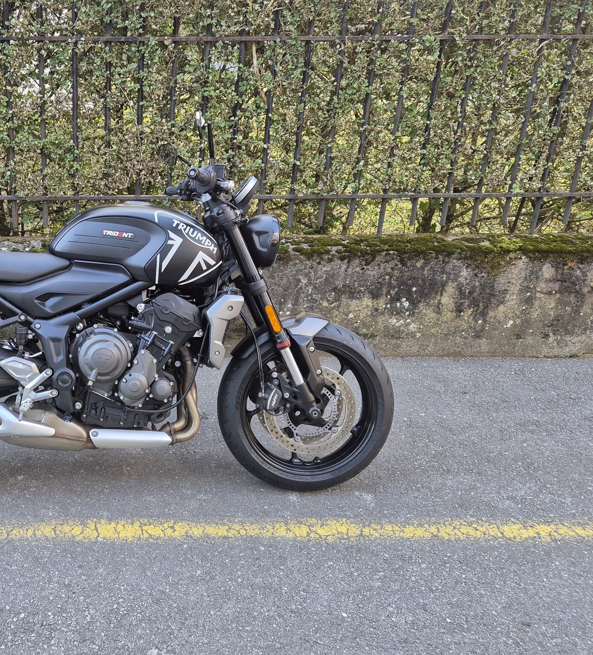 TRIUMPH Trident 660-image-7