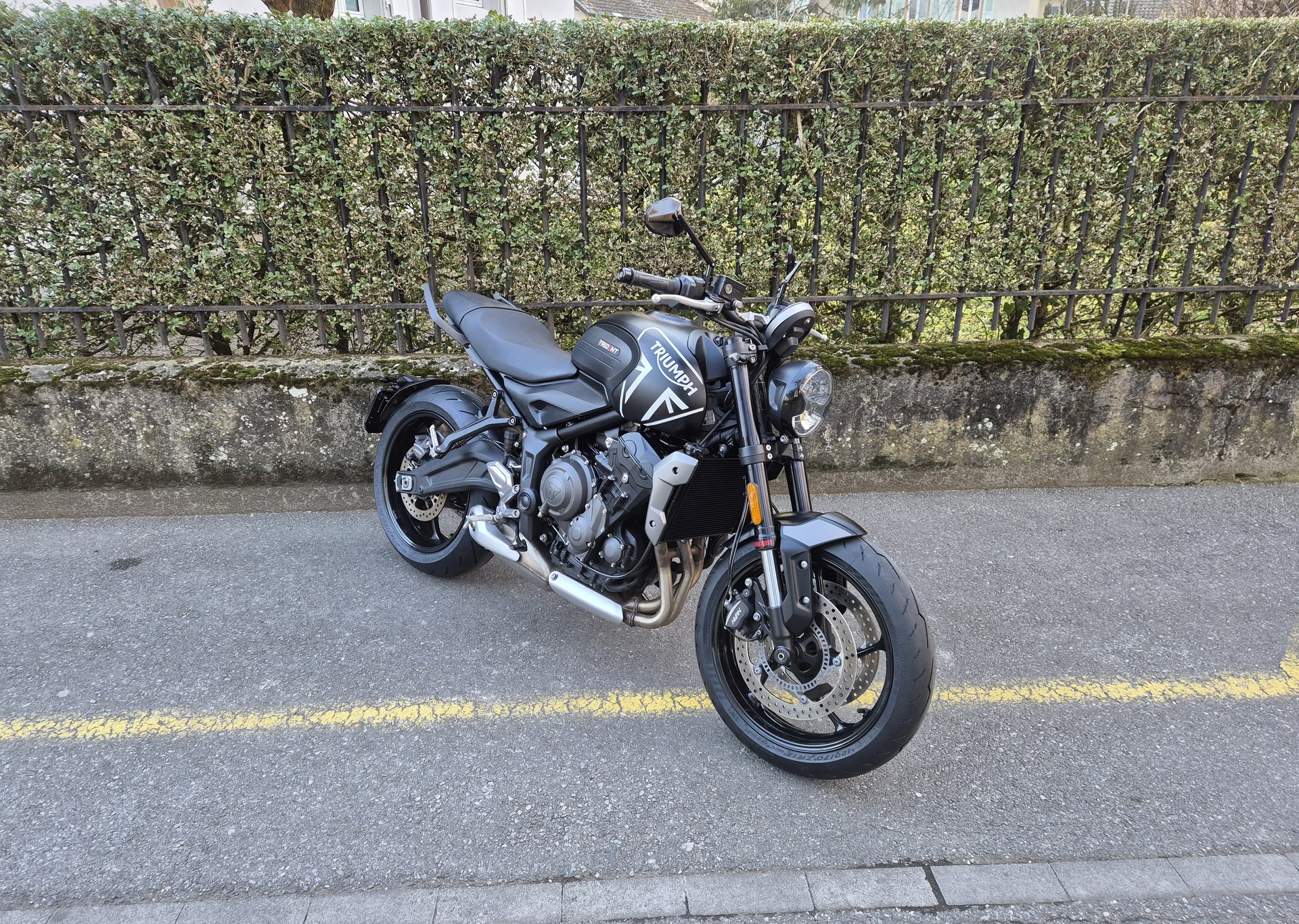 TRIUMPH Trident 660-image-3