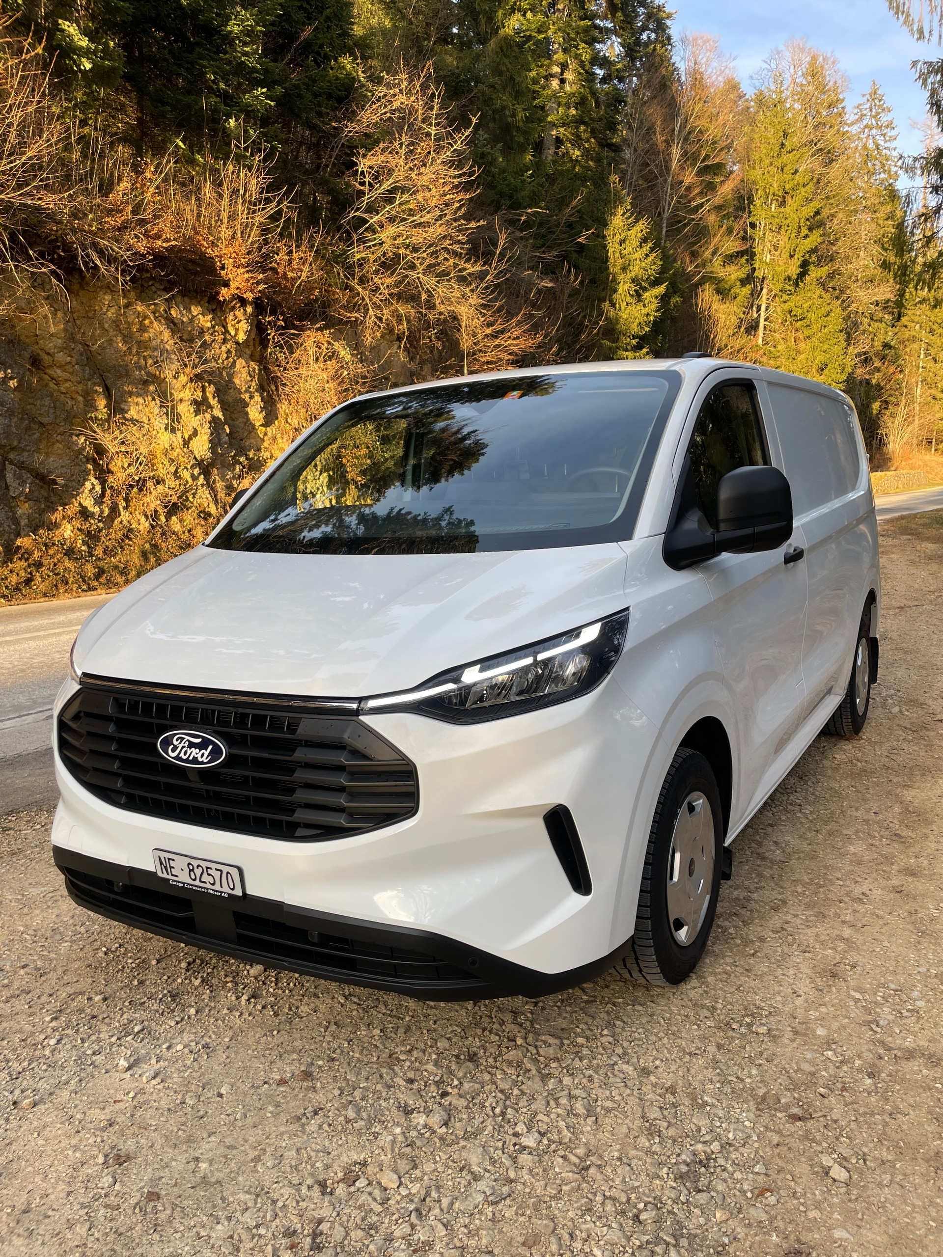 FORD TRANSIT CUSTOM