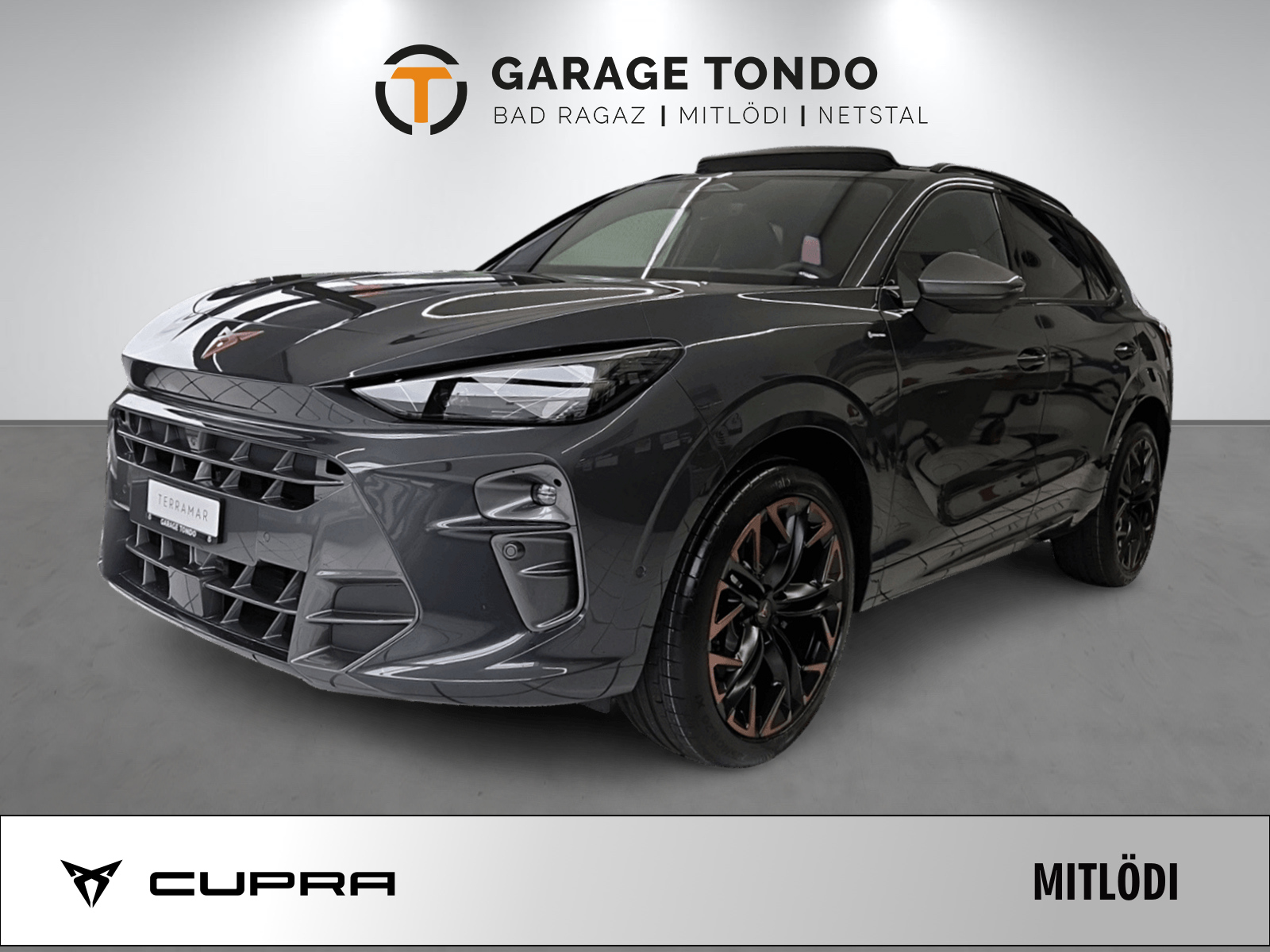 CUPRA Terramar 2.0 TSI Prime Edition VZ 4Drive DSG