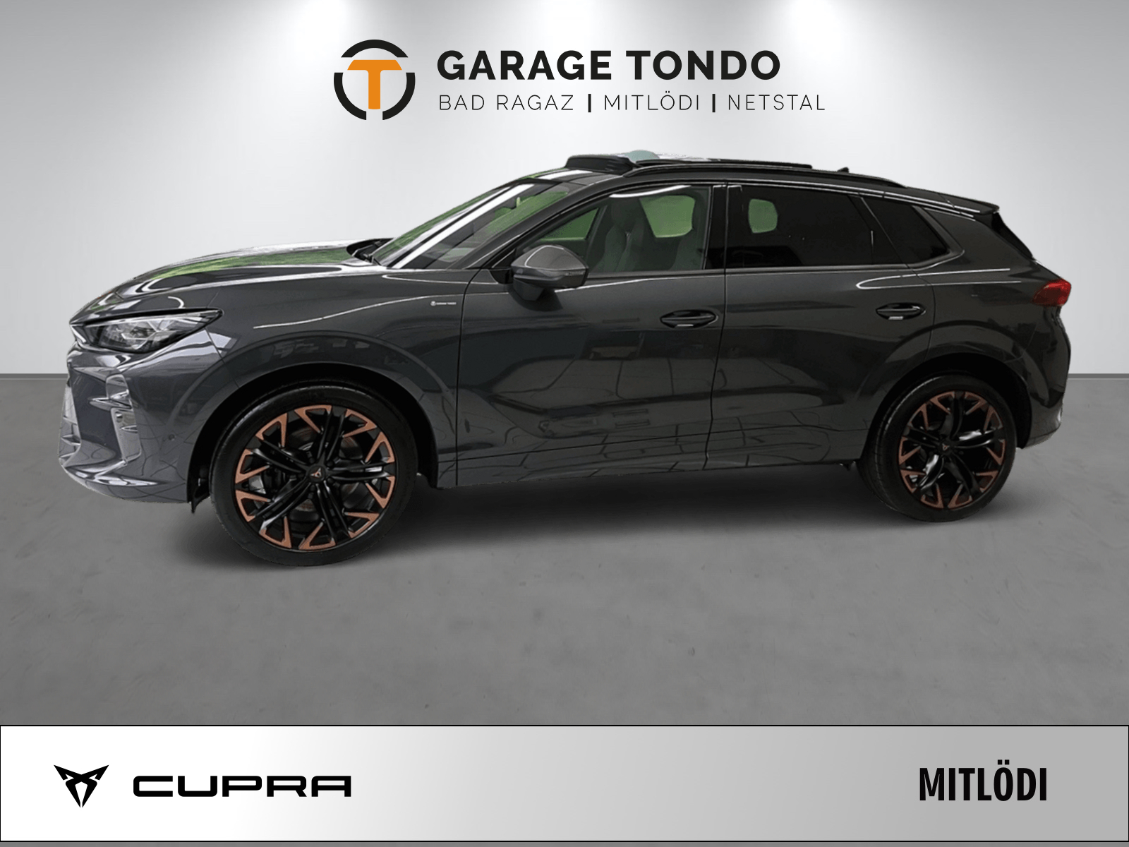 CUPRA Terramar 2.0 TSI Prime Edition VZ 4Drive DSG-showroom-element-3