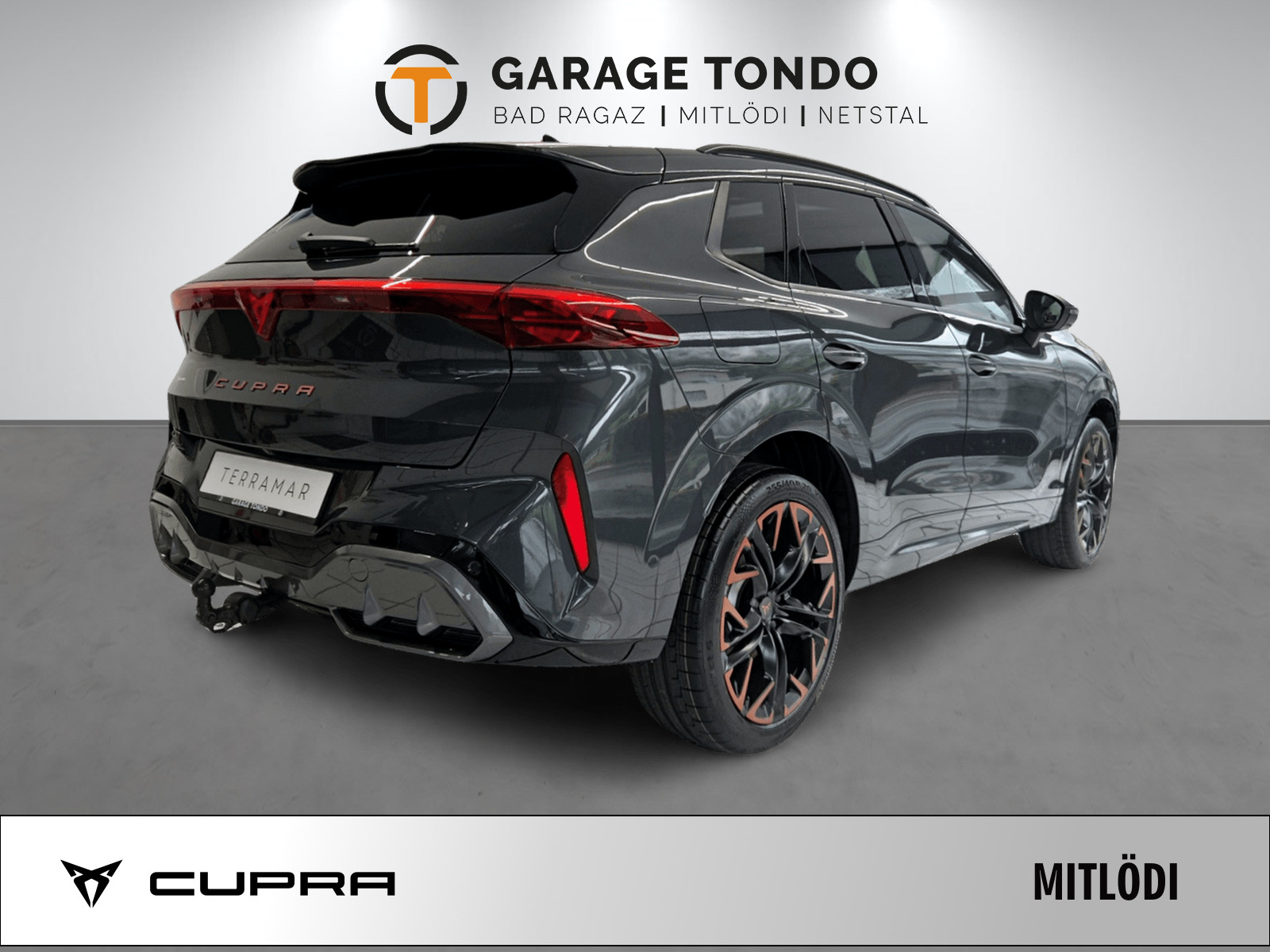 CUPRA Terramar 2.0 TSI Prime Edition VZ 4Drive DSG-showroom-element-2