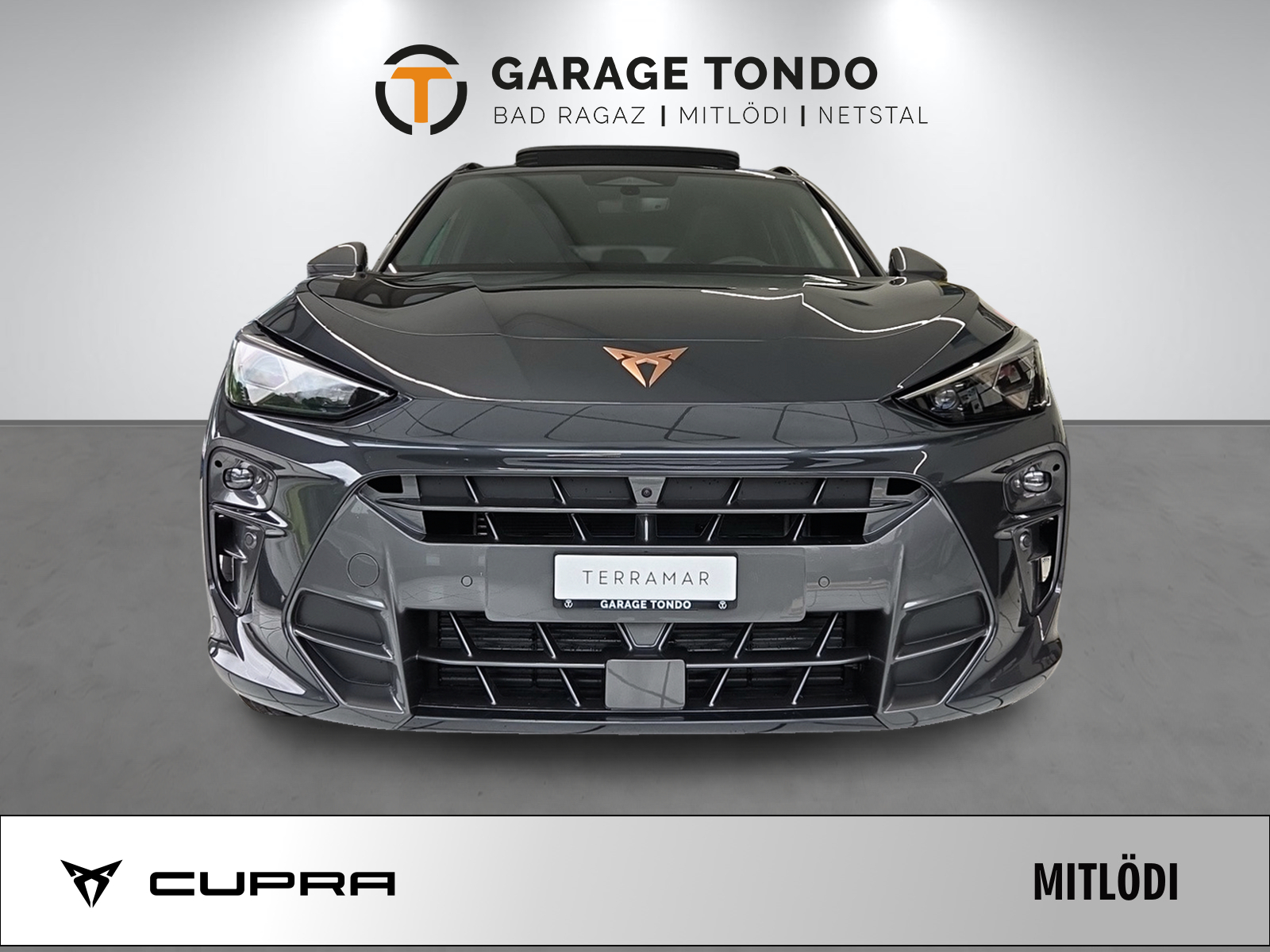 CUPRA Terramar 2.0 TSI Prime Edition VZ 4Drive DSG-showroom-element-1