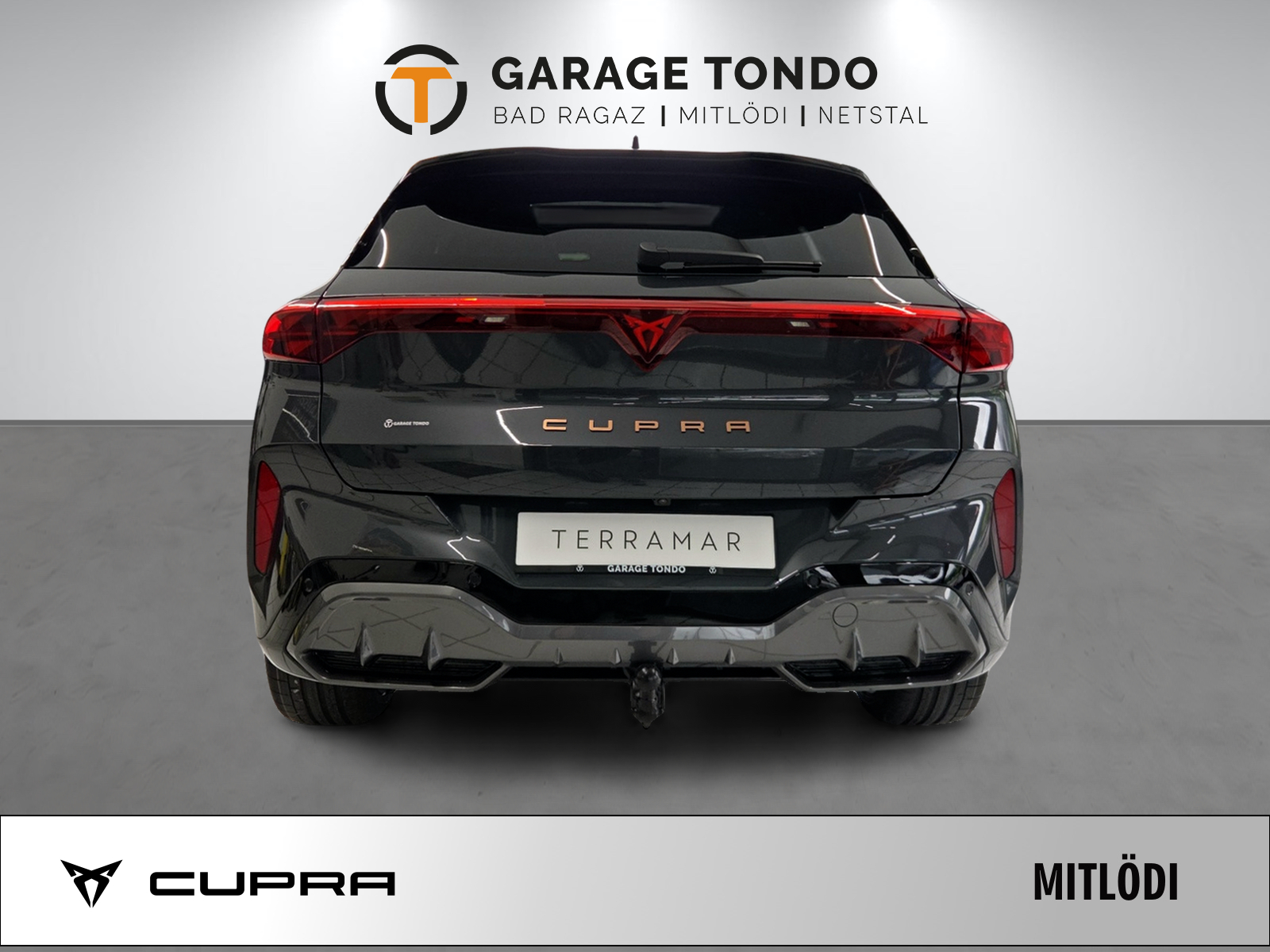 CUPRA Terramar 2.0 TSI Prime Edition VZ 4Drive DSG-image-5