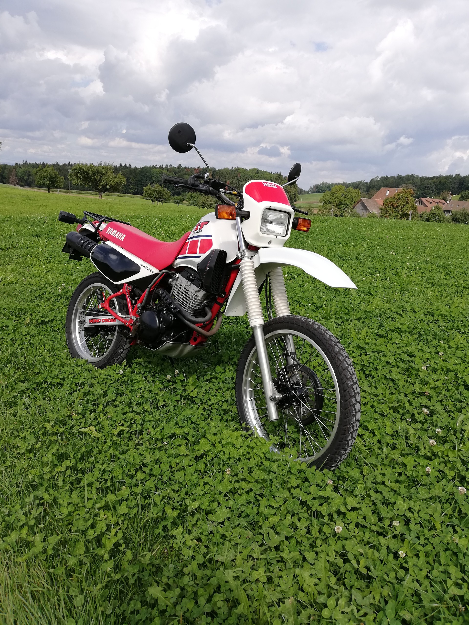 YAMAHA XT 250-image-1
