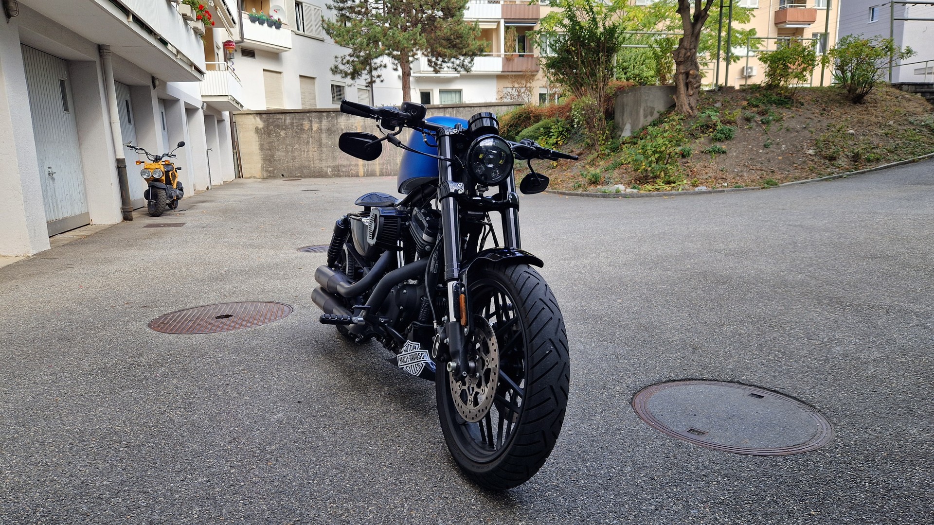 HARLEY-DAVIDSON Custom Bike (Spezialumbau)-image-1