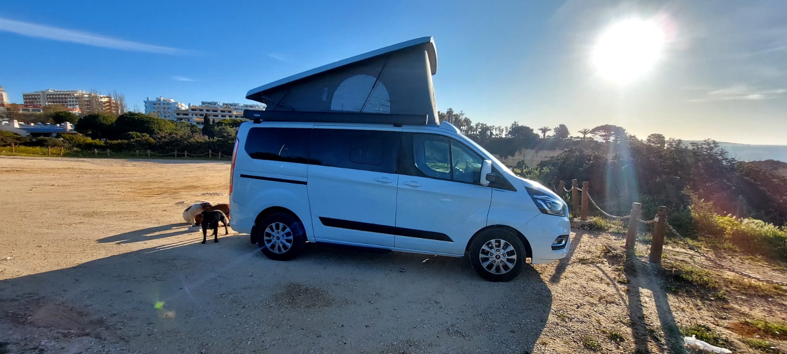 FORD Tourneo Custom 320 L1H1 Trend Aut.