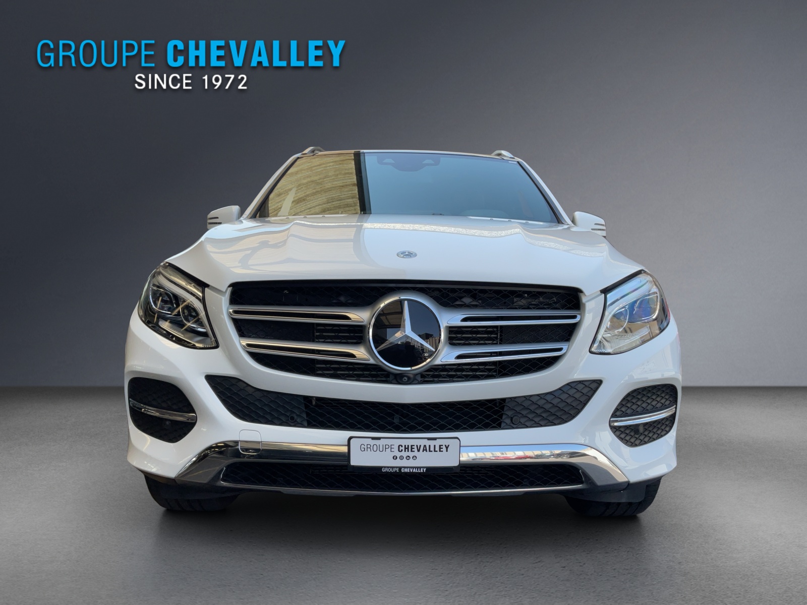 MERCEDES-BENZ GLE 250 d Executive 4M-showroom-element-1