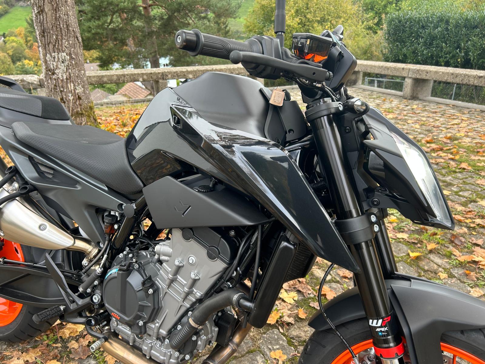 KTM 790 Duke L-image-5