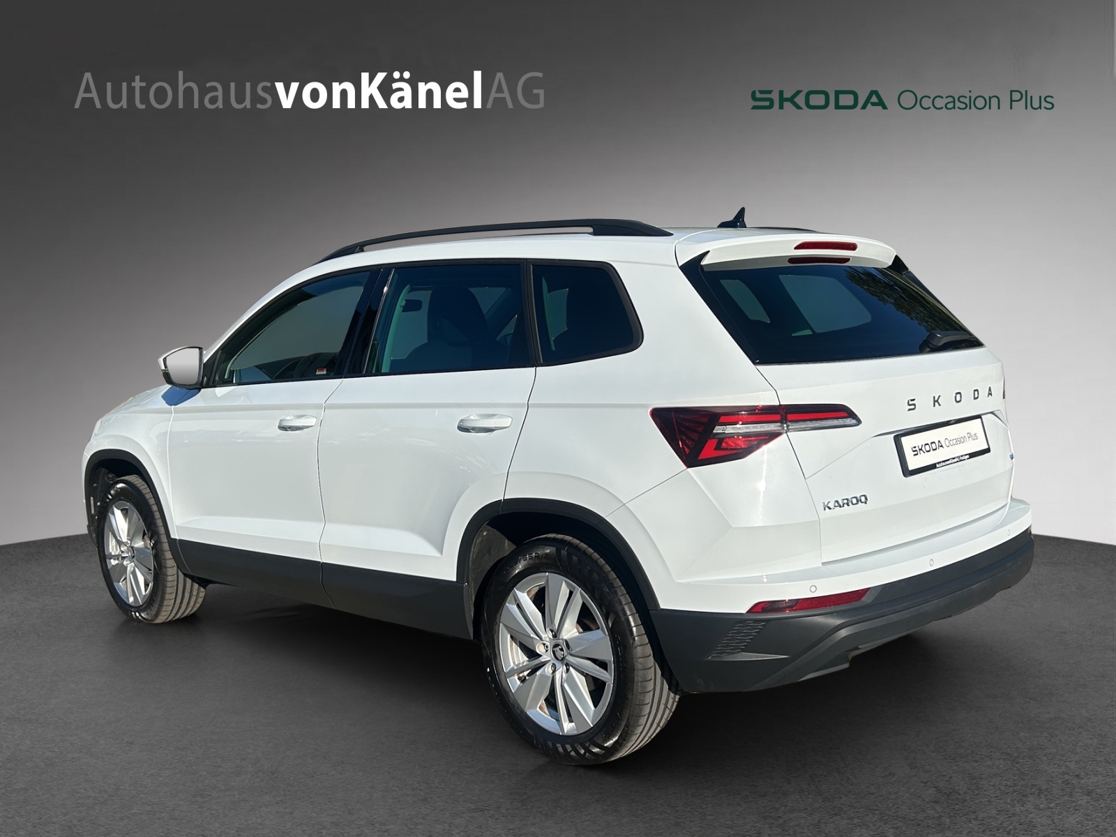 SKODA Karoq 2.0 TDI CR Selection 4x4 DSG-showroom-element-2