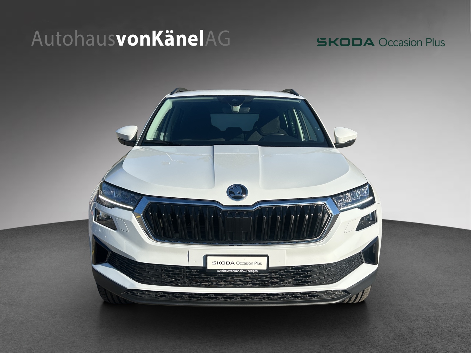SKODA Karoq 2.0 TDI CR Selection 4x4 DSG-showroom-element-3